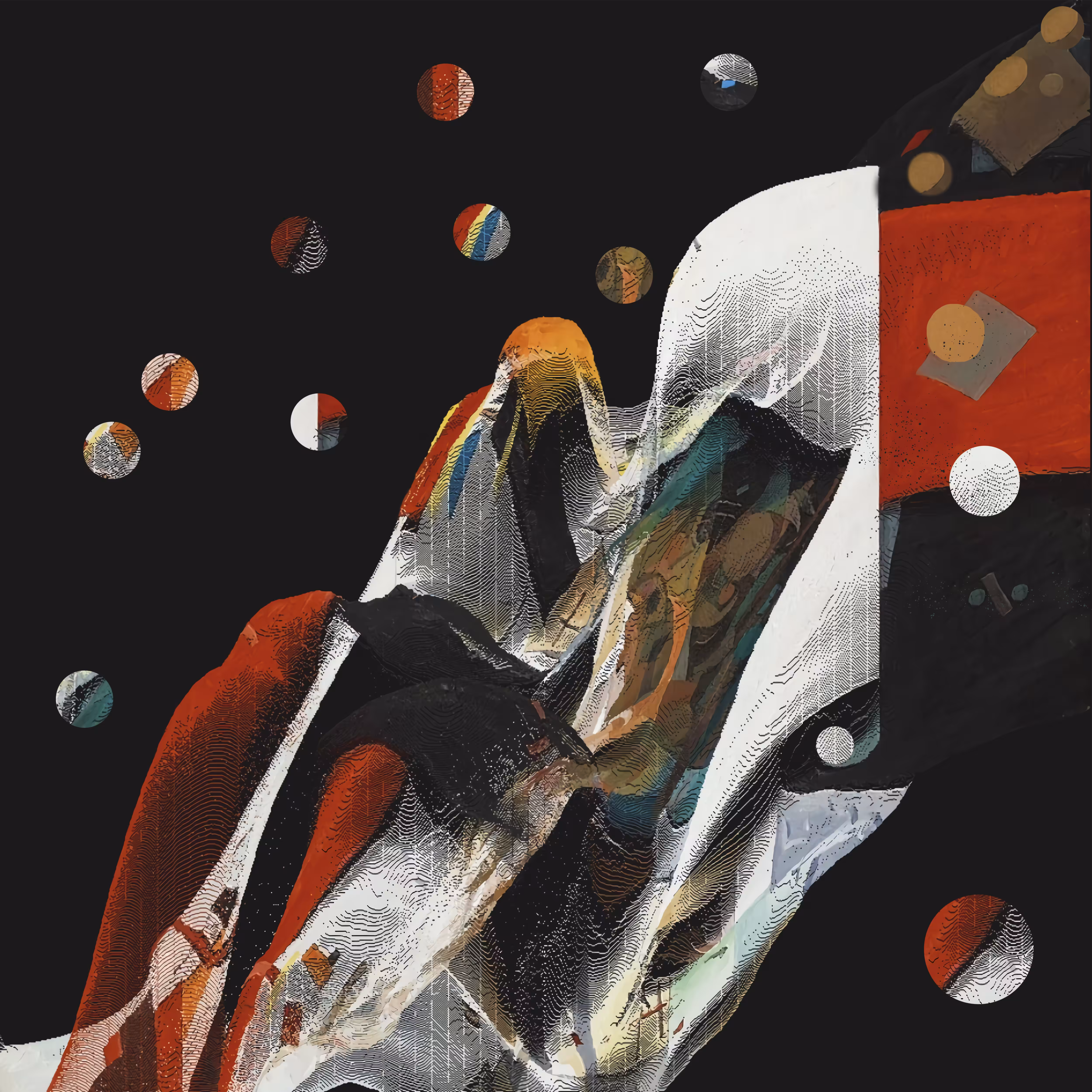Horse Cranium