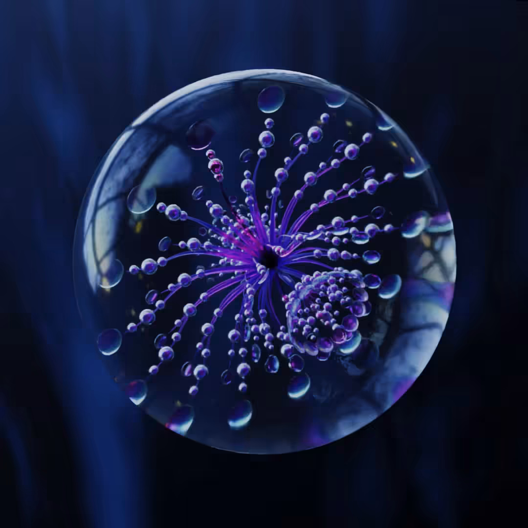 Everything Connected