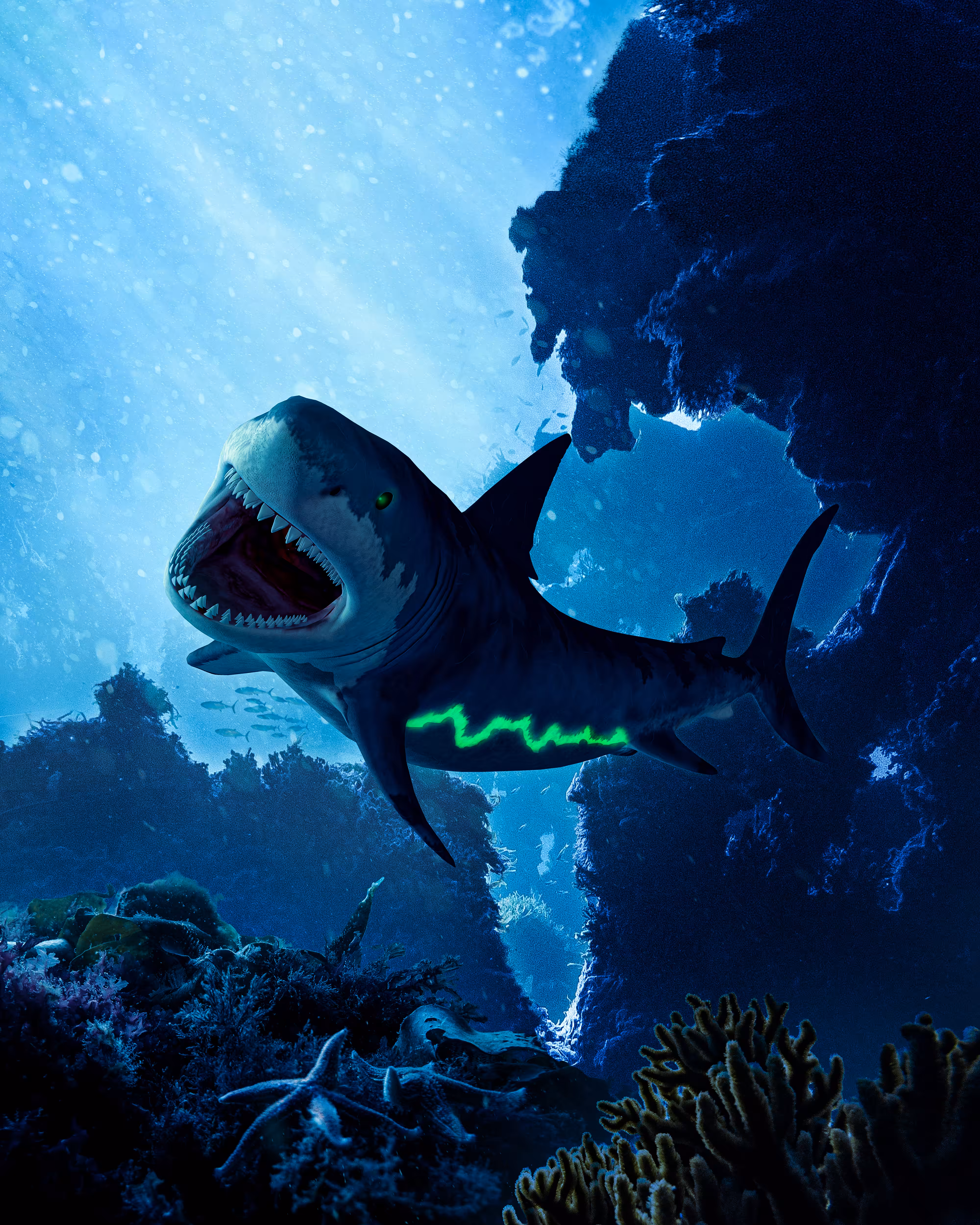 THE CURSE SHARK