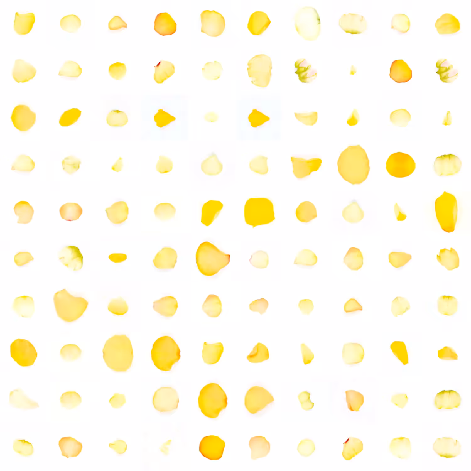 Infinite Petals 10x10#1547
