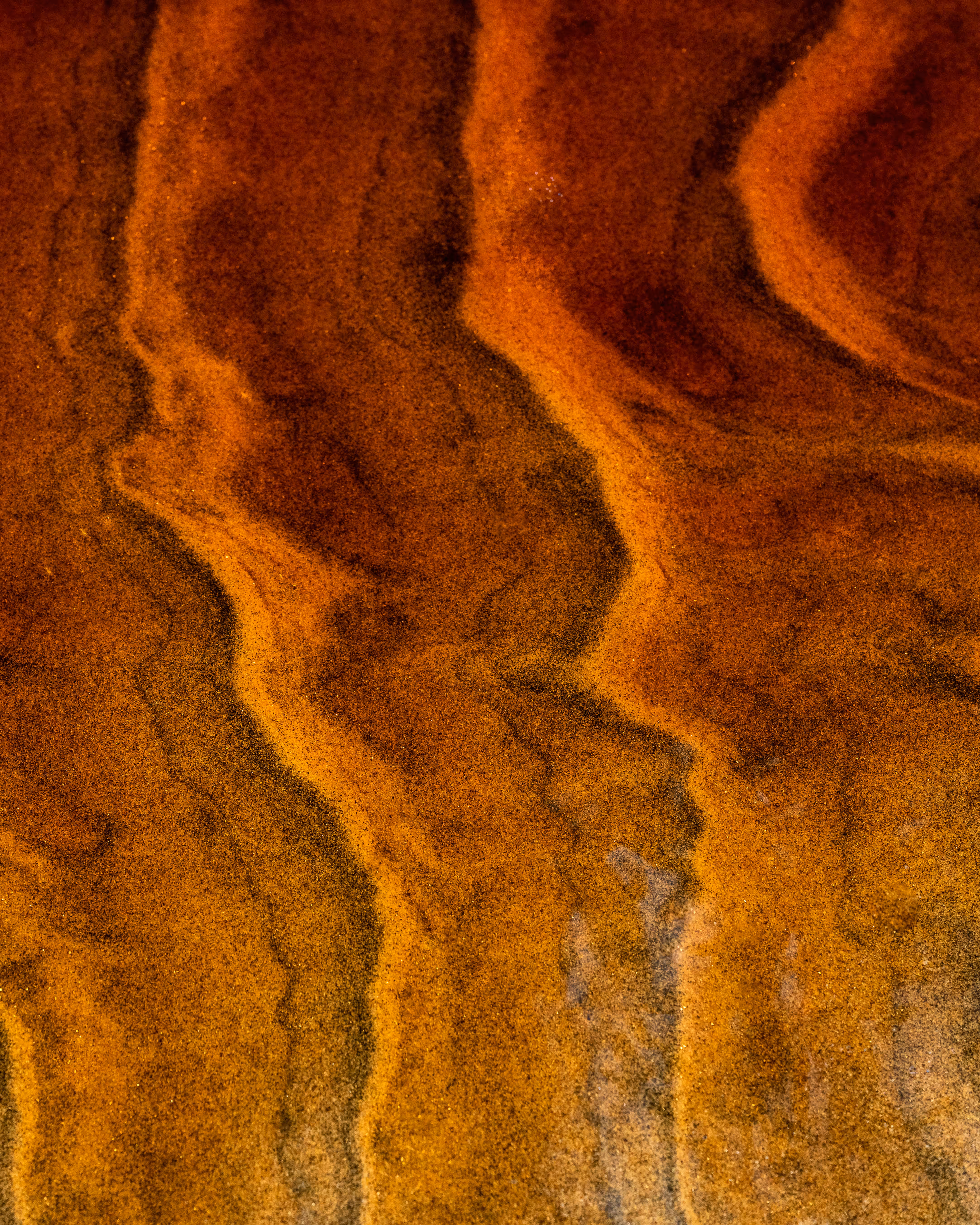 Echoes of Light #1