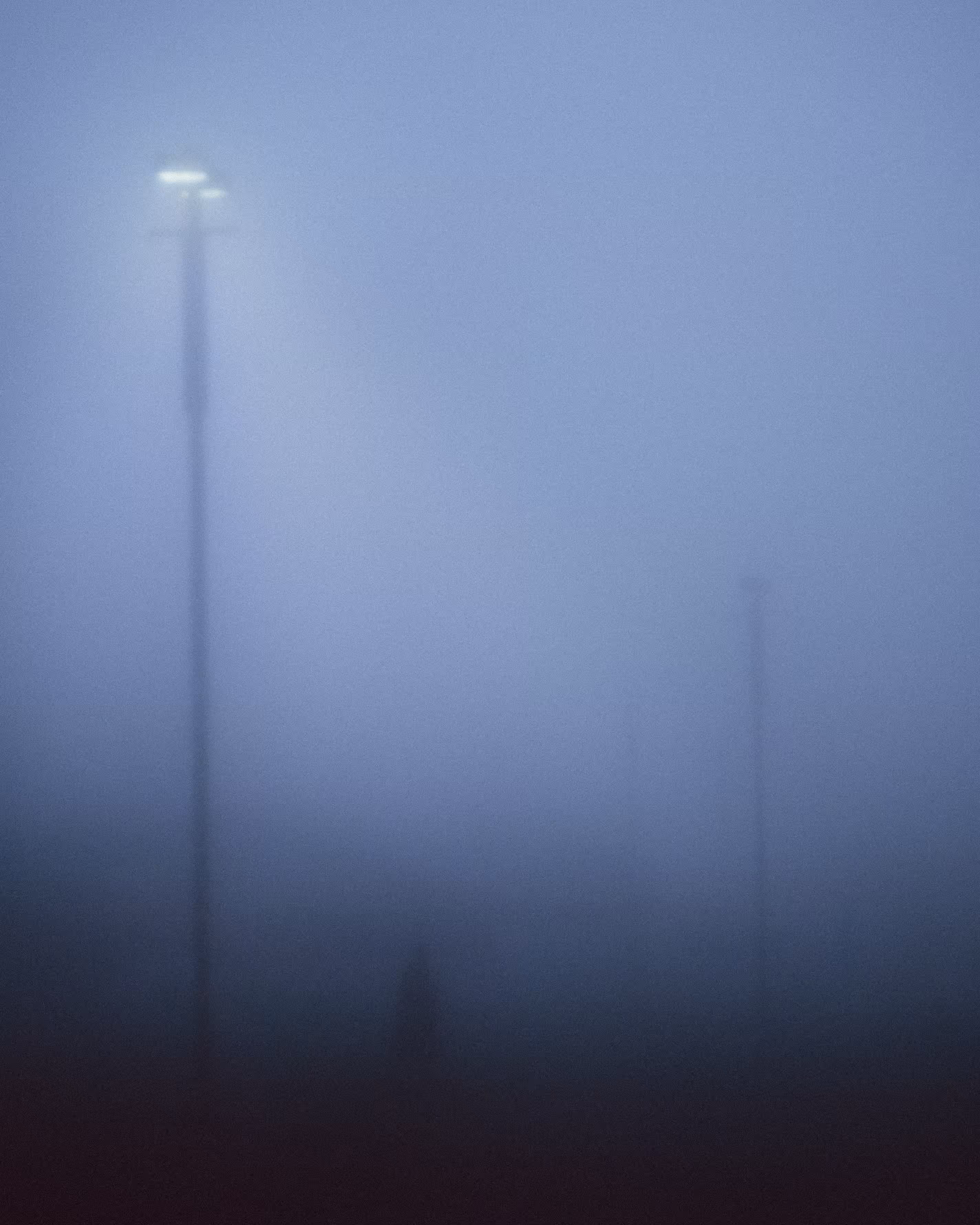 it's all just a fog