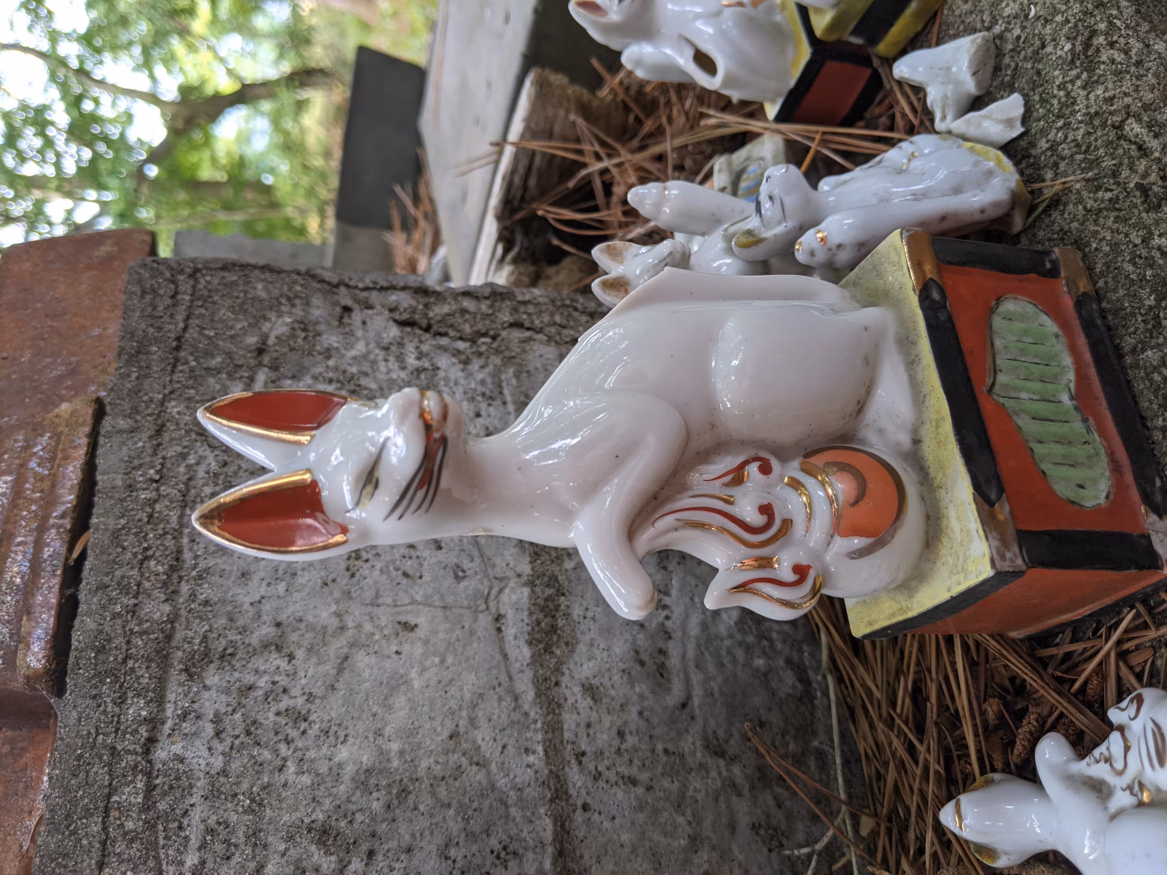 Inari Fox 