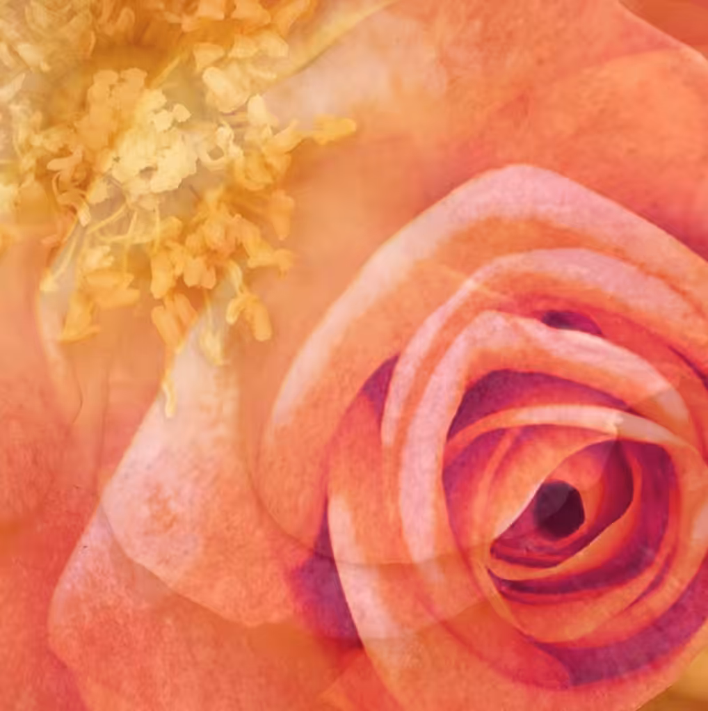 blooming love