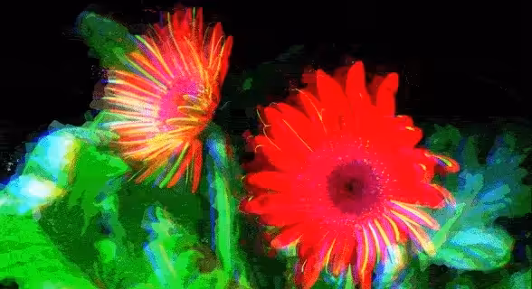 Error Garden