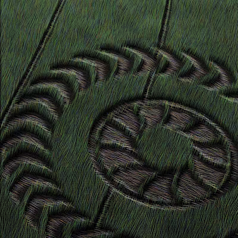 Crop Circles #11