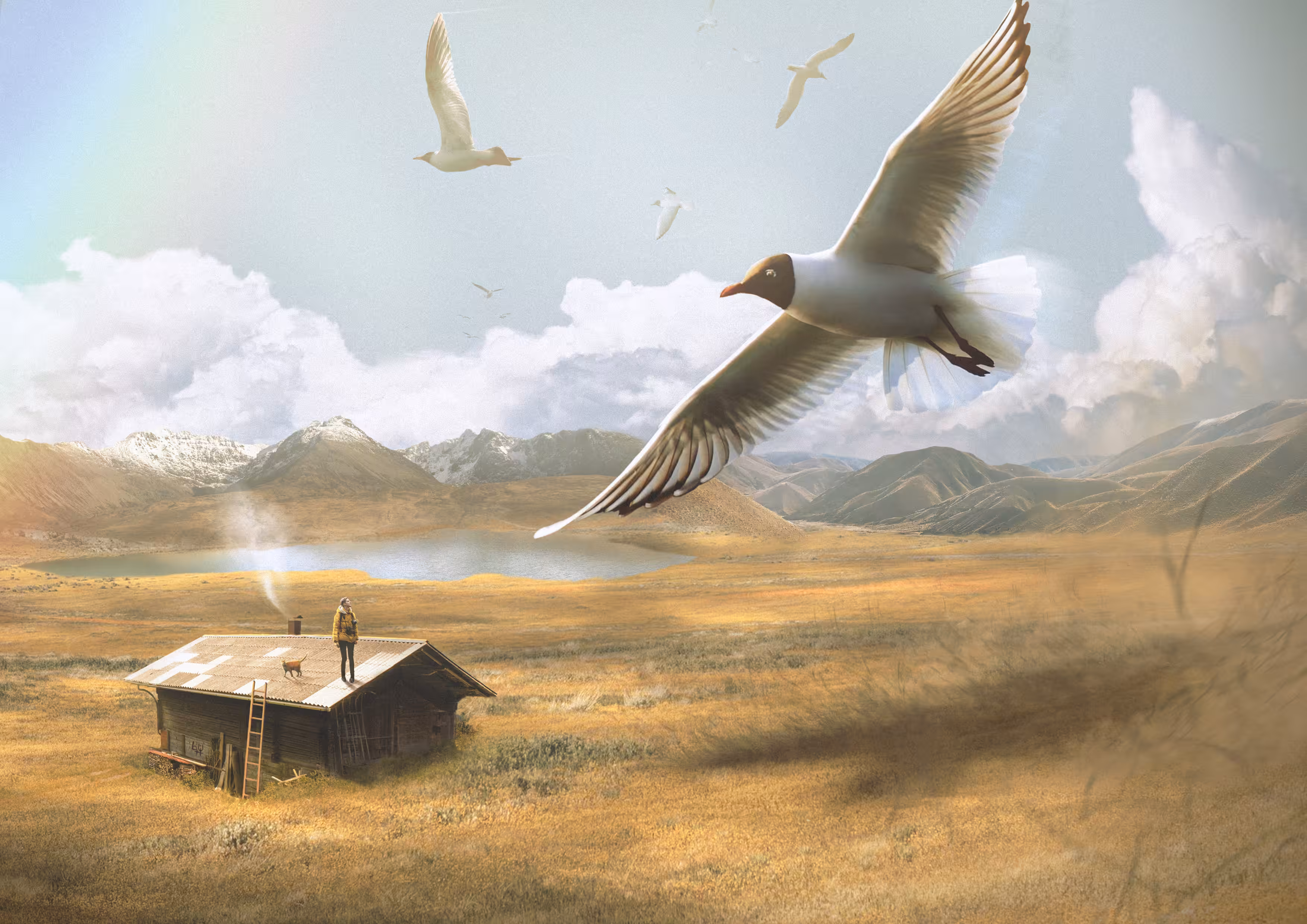 Birb Valley