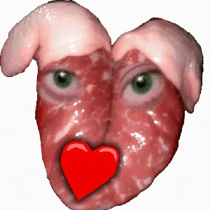 tikkoid