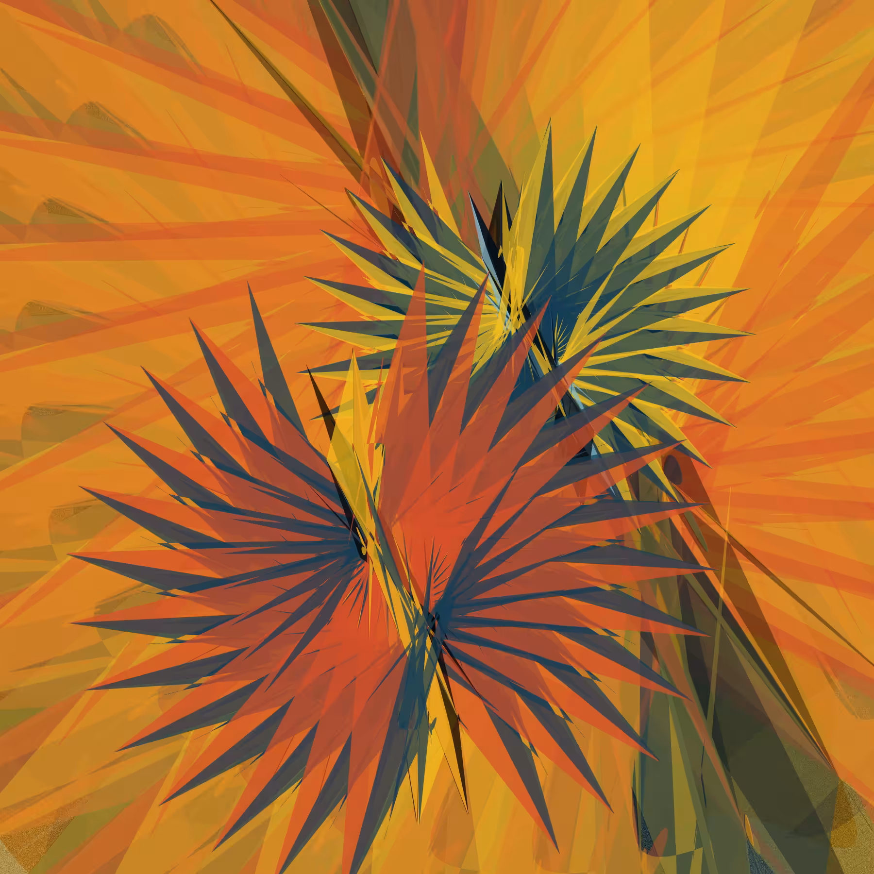 Tillandsia-A #6