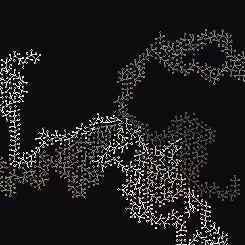 Networks #31