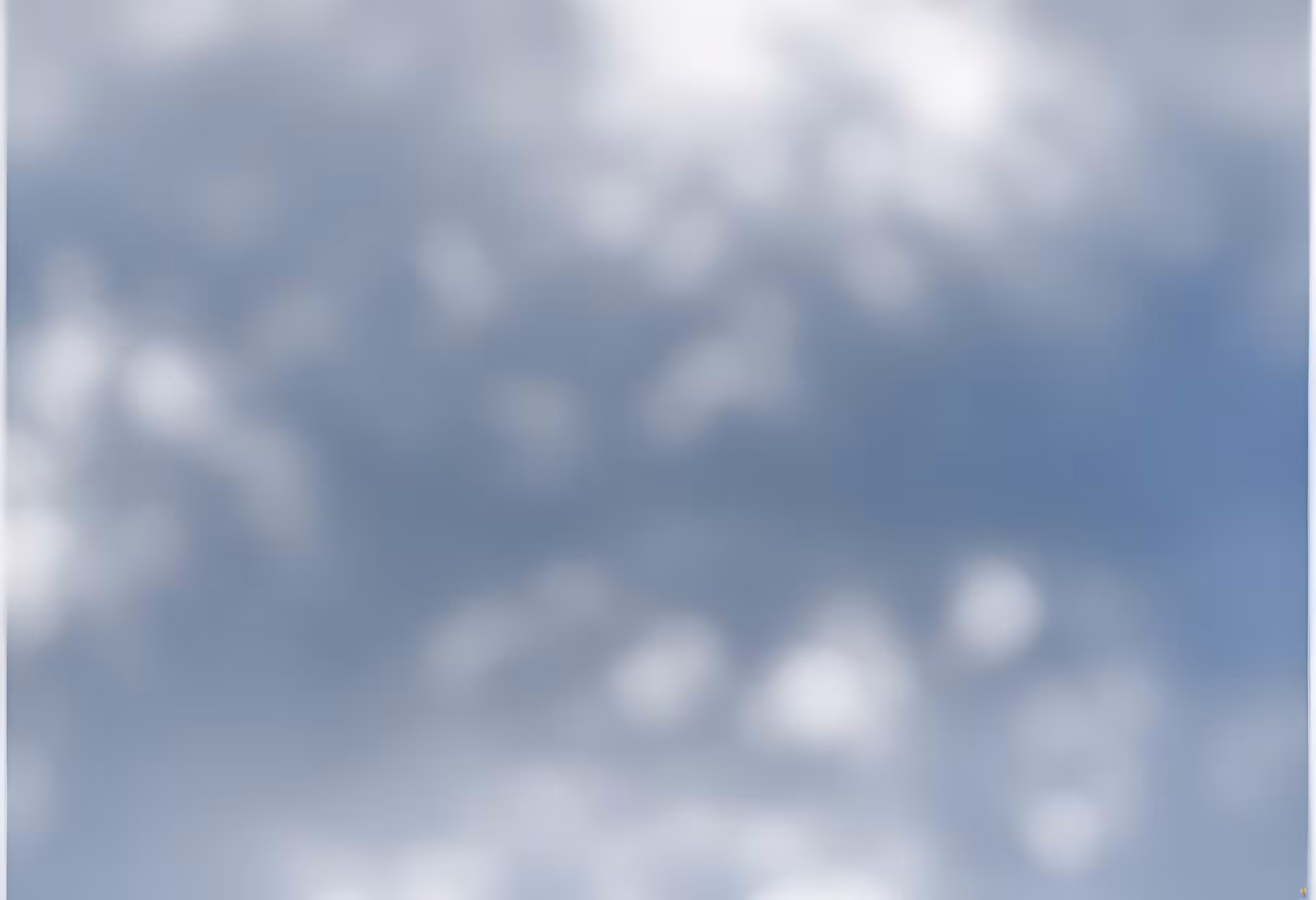 Sunlight Test