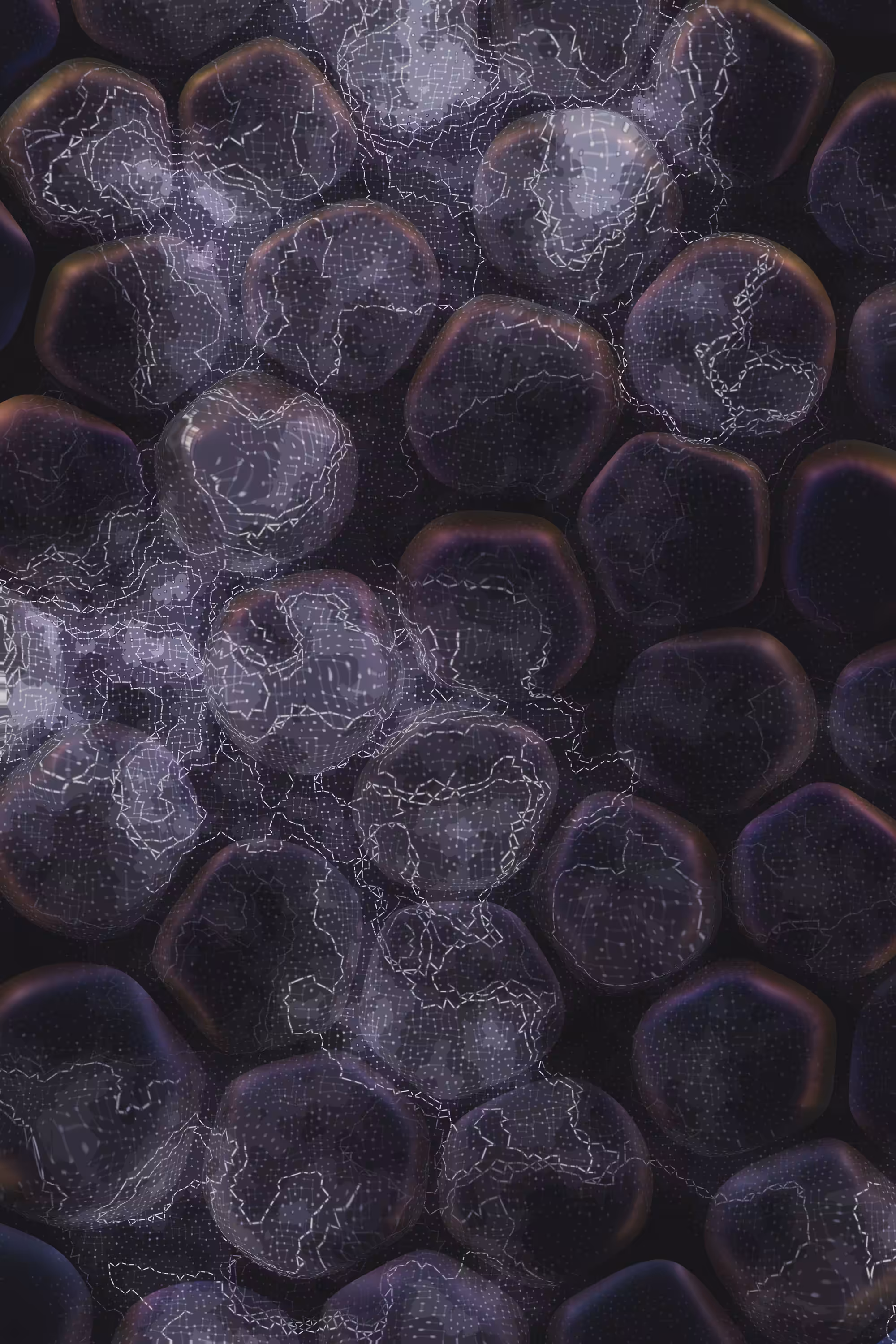 Vitreous #18