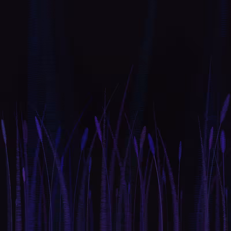 ZigZag Garden #103