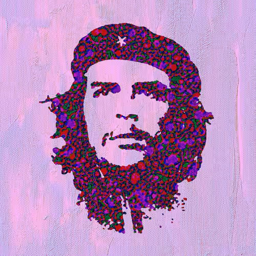 Famous Faces Series: The Cuban Rebellion in PINK