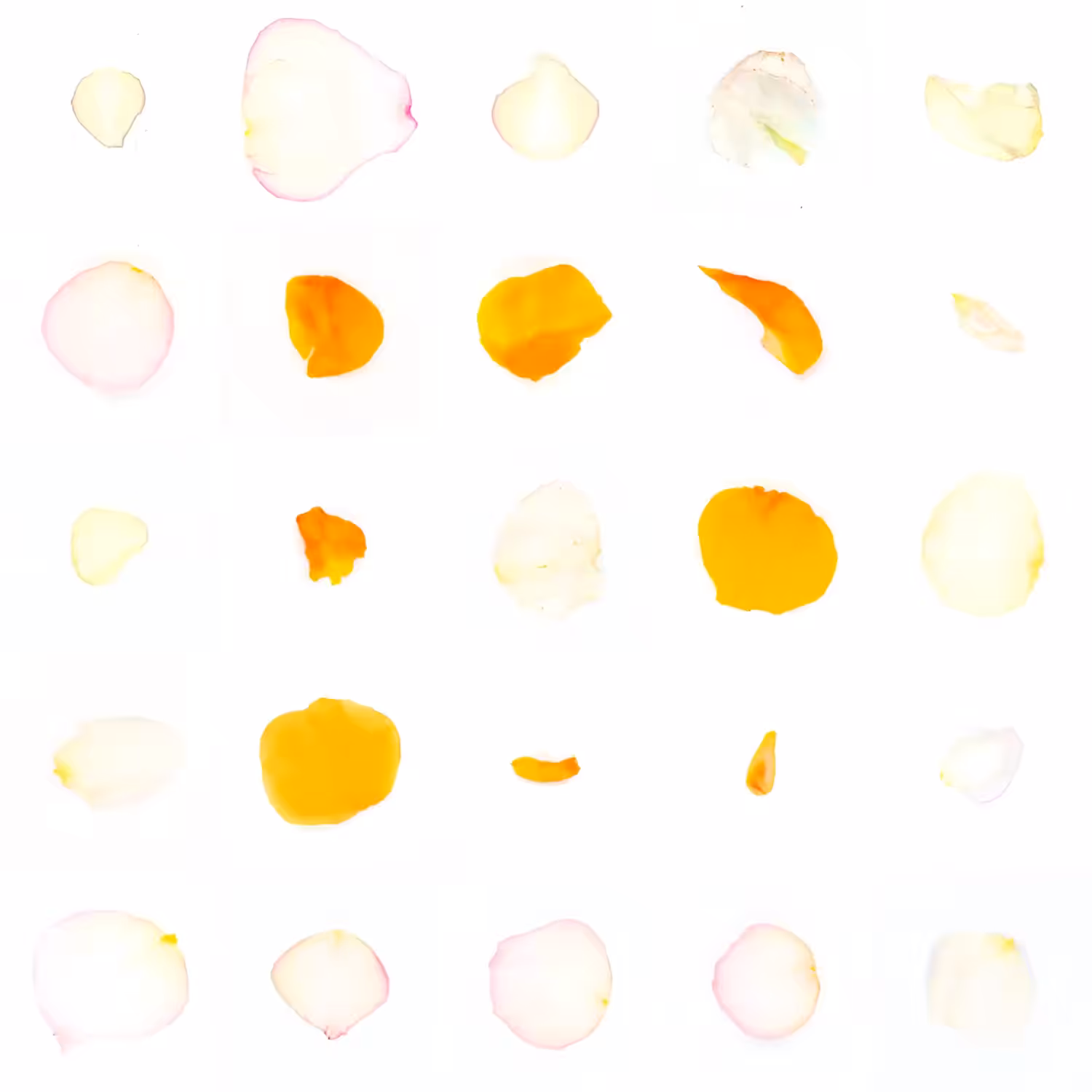 Infinite Petals 5x5#1563