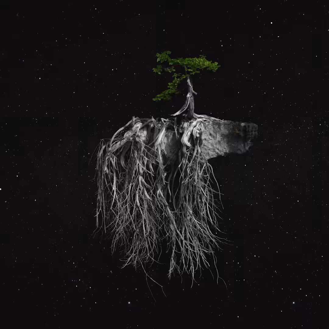 A Wandering Mind