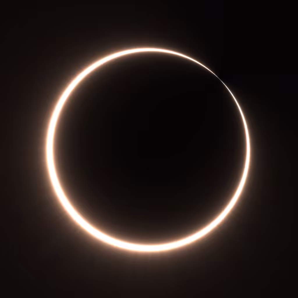 Totality #376