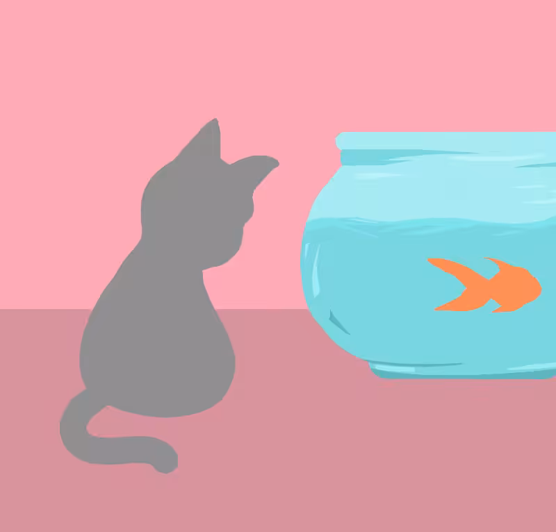 Dance of fish #8