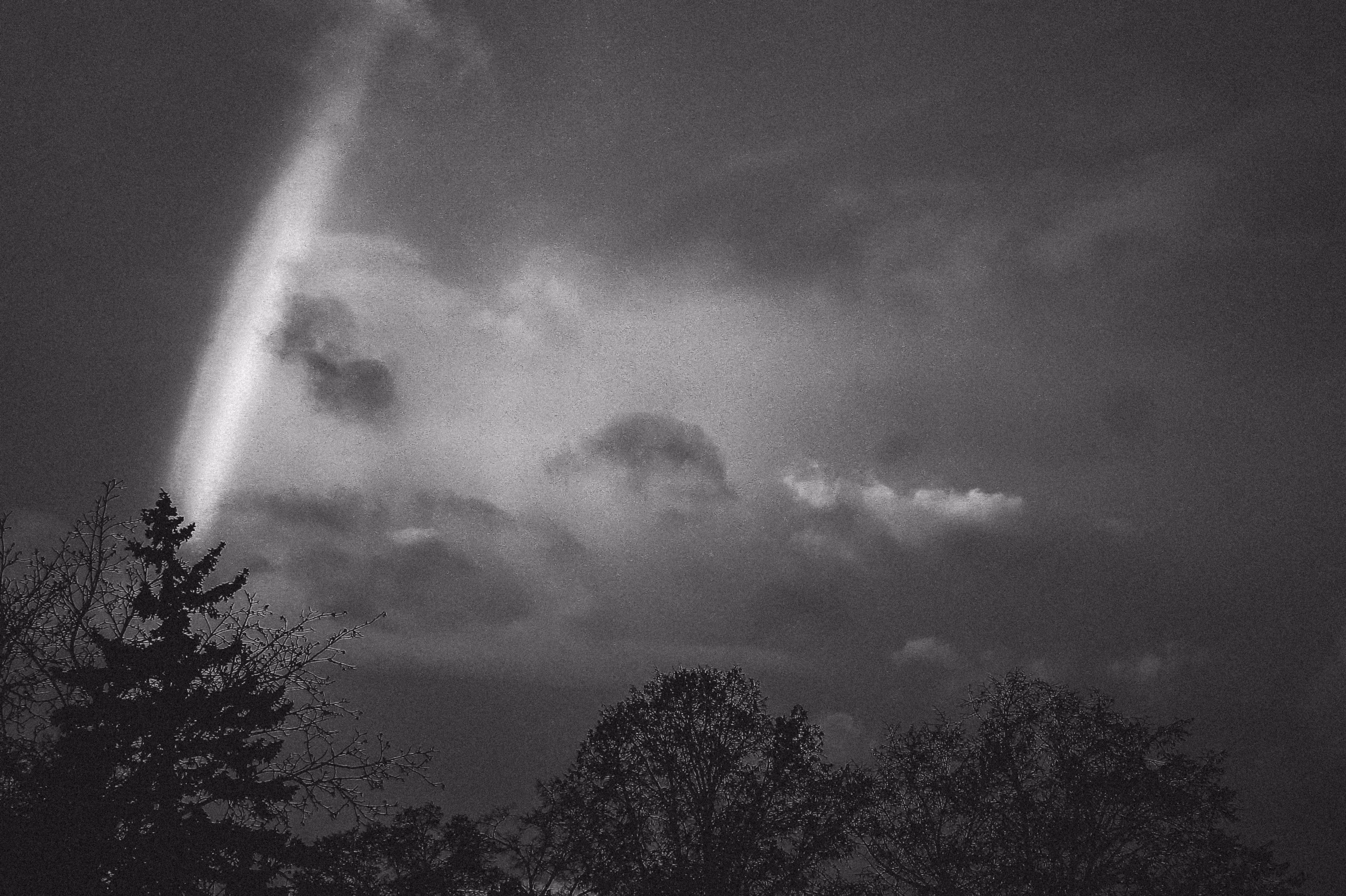 Monochrome Nature #154