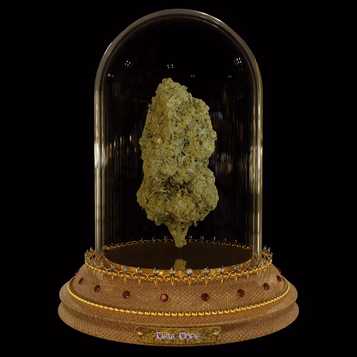 Northern Lights - 1K Edition