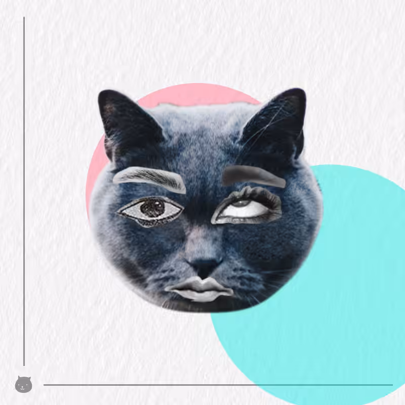 Kittenstein #19