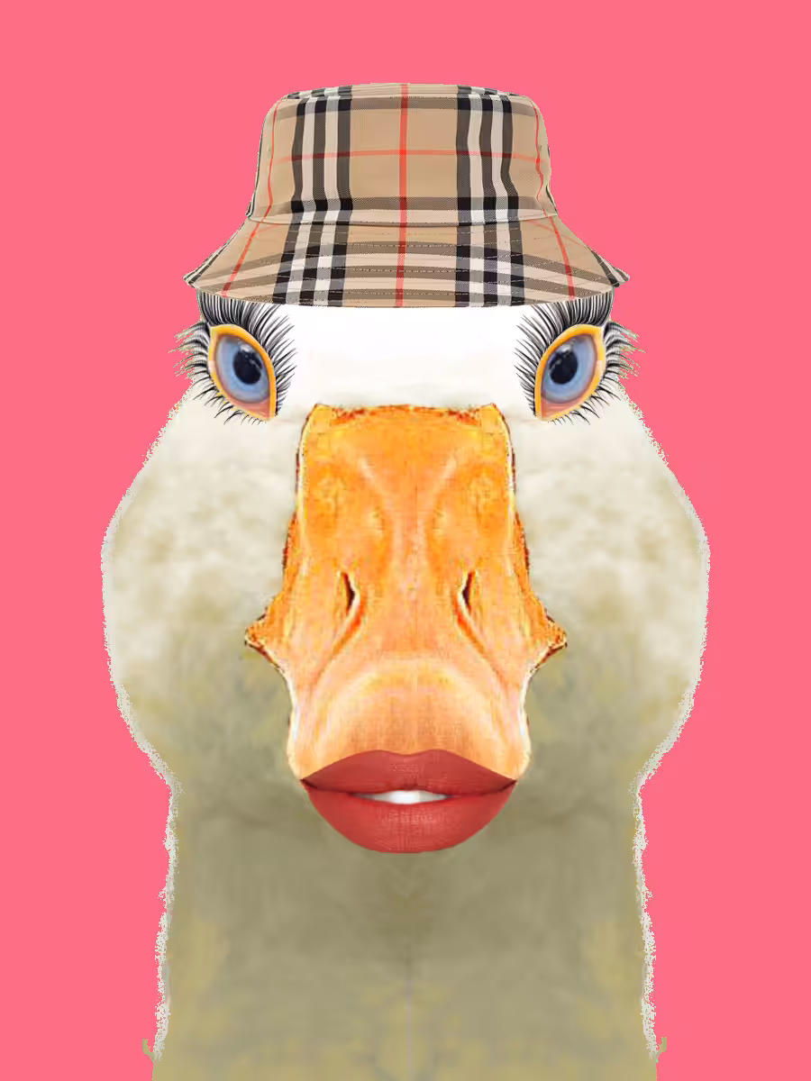GE-GOOSE #0091
