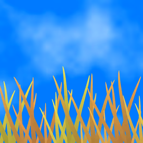 Fields of Ukraine #17