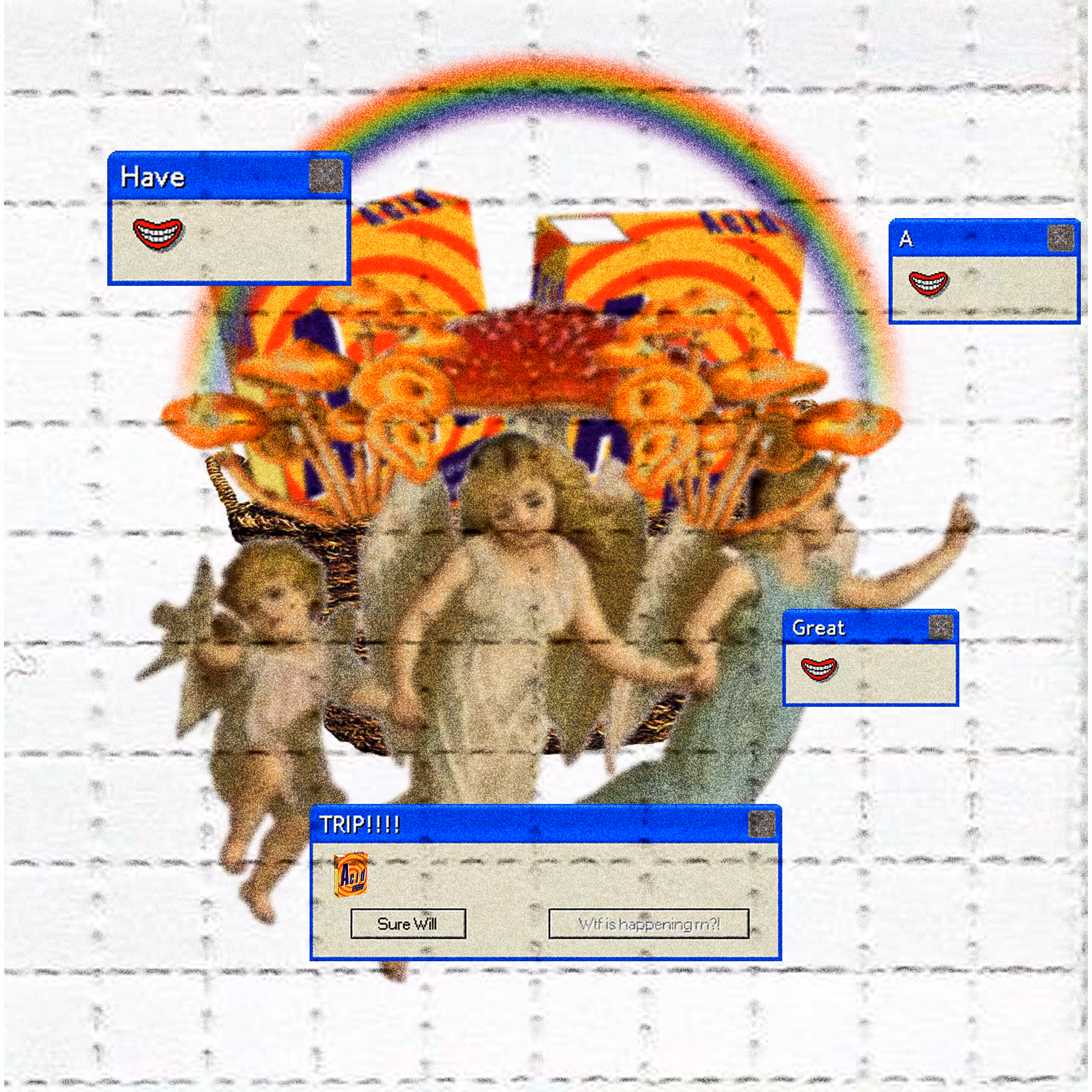 BLOTTER BOIS 