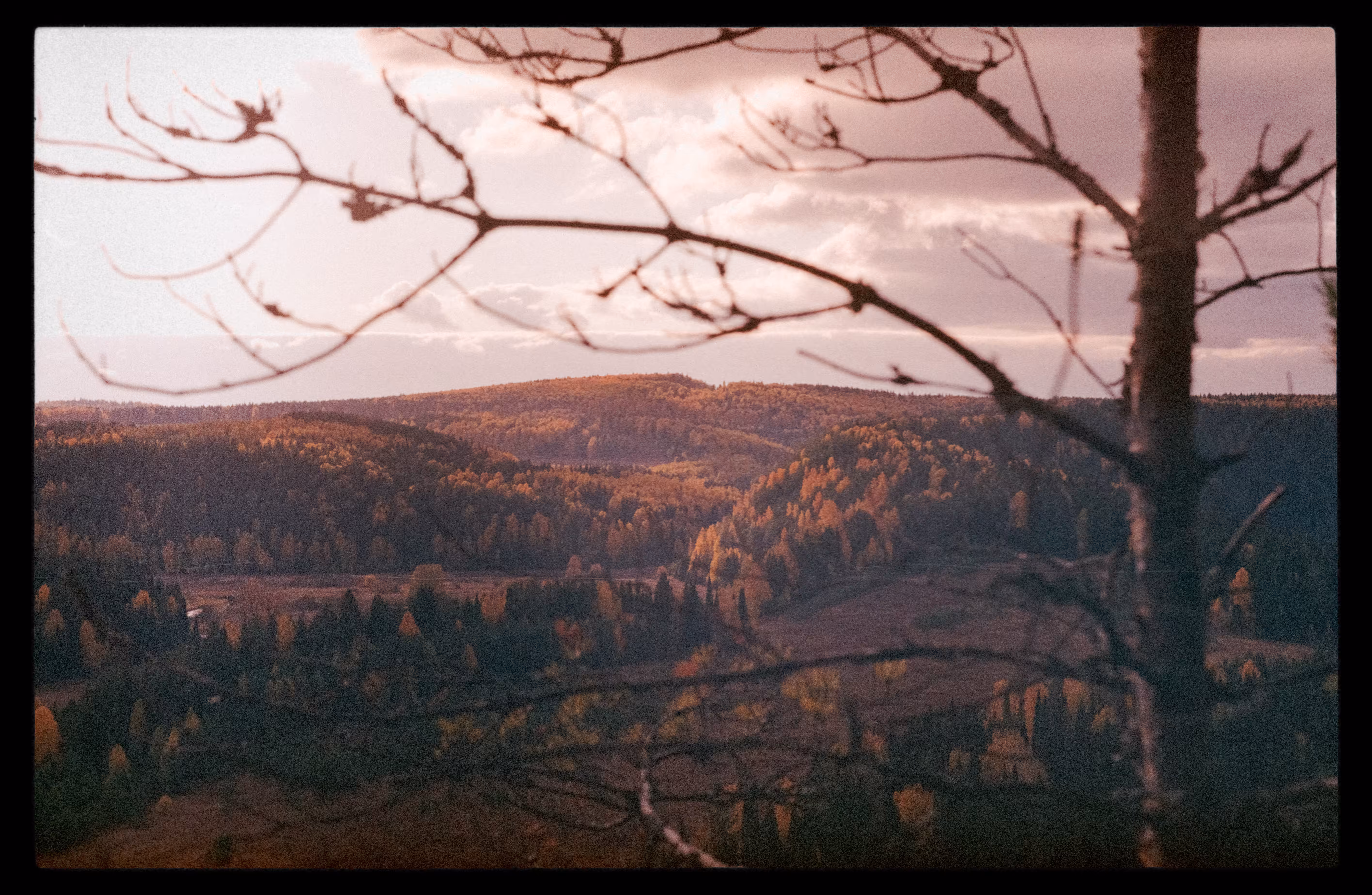 The Moment of Fall