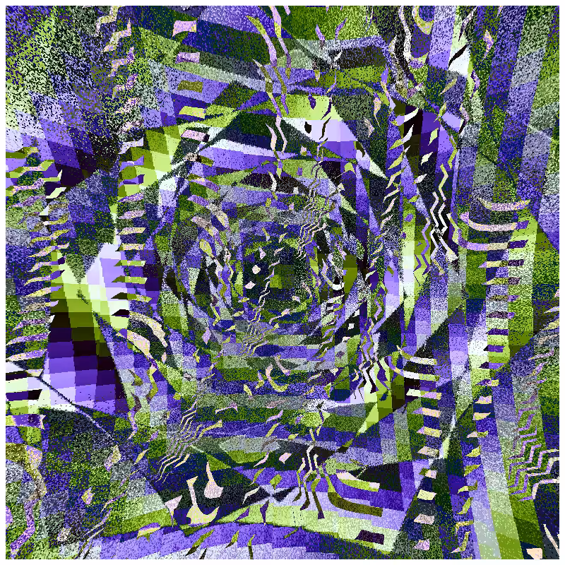 rosette #153