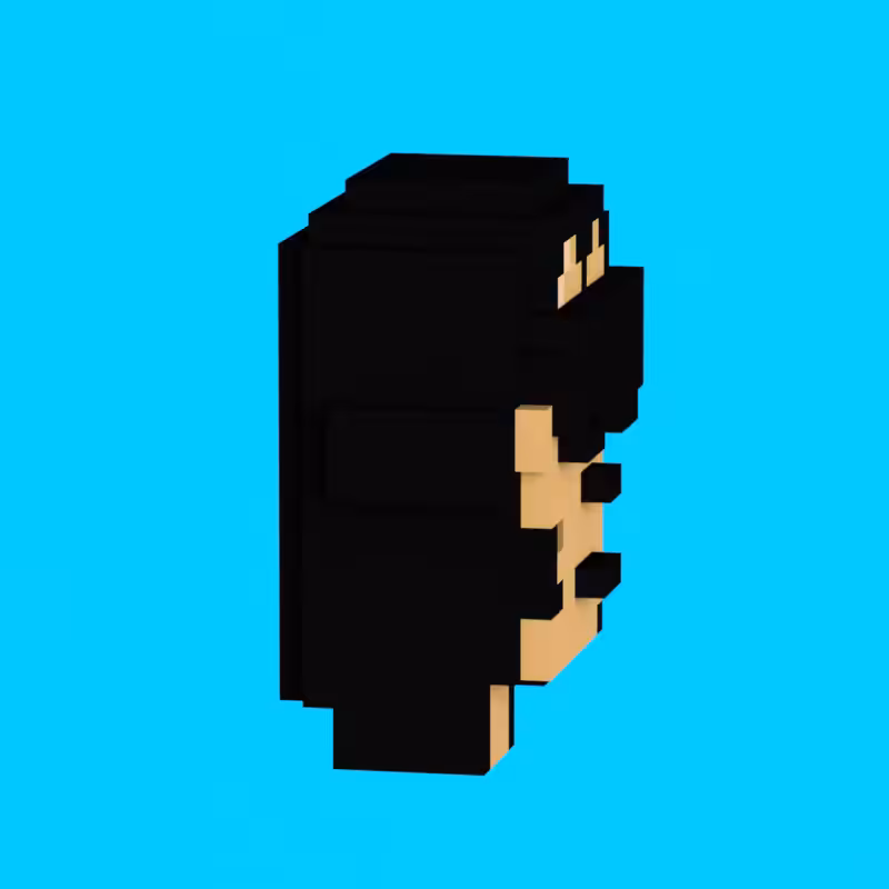 VoxelPunks #2