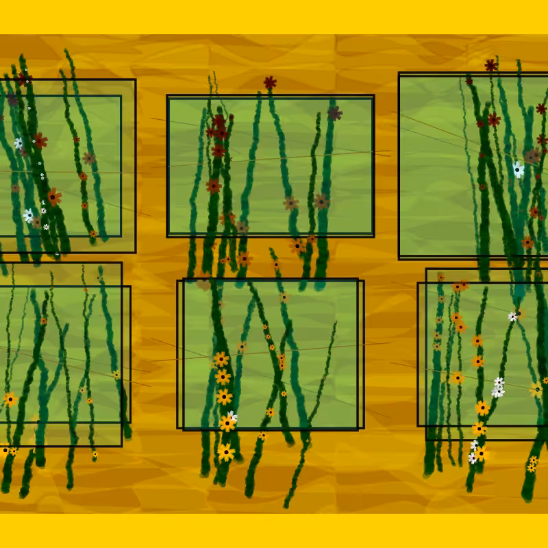 Flower Boxes #11
