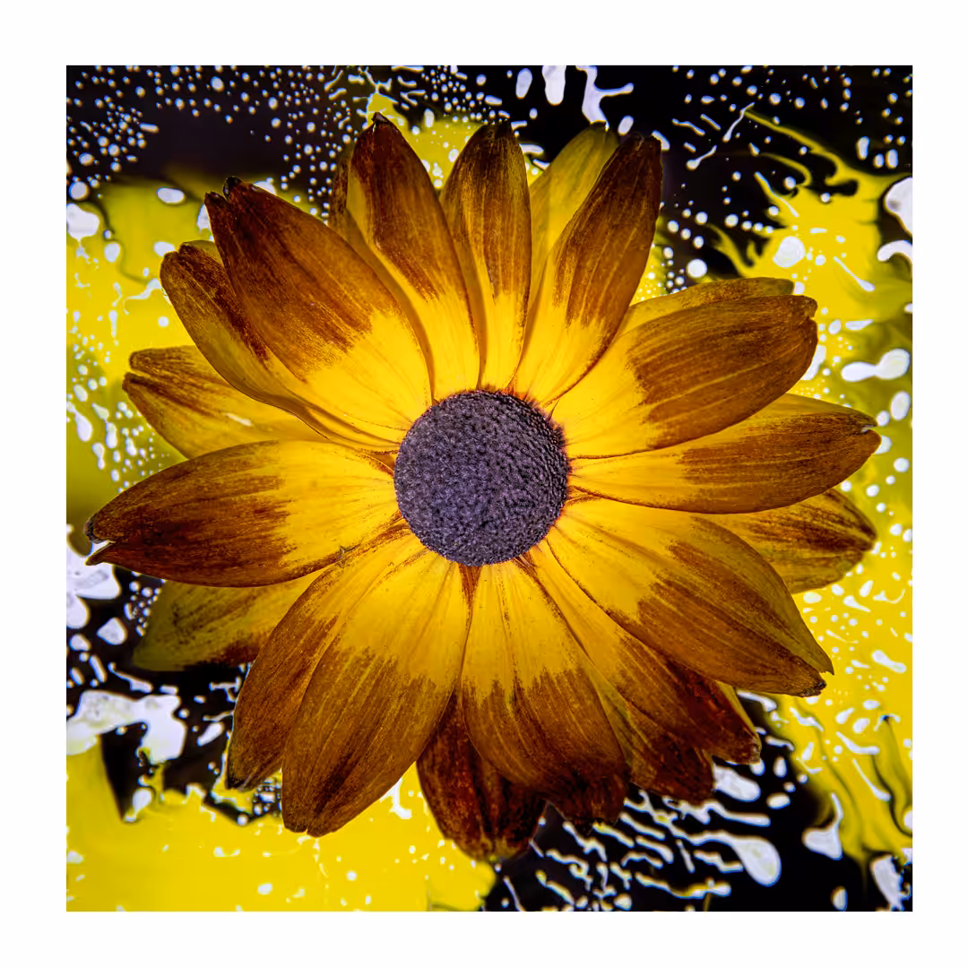 Flower #20