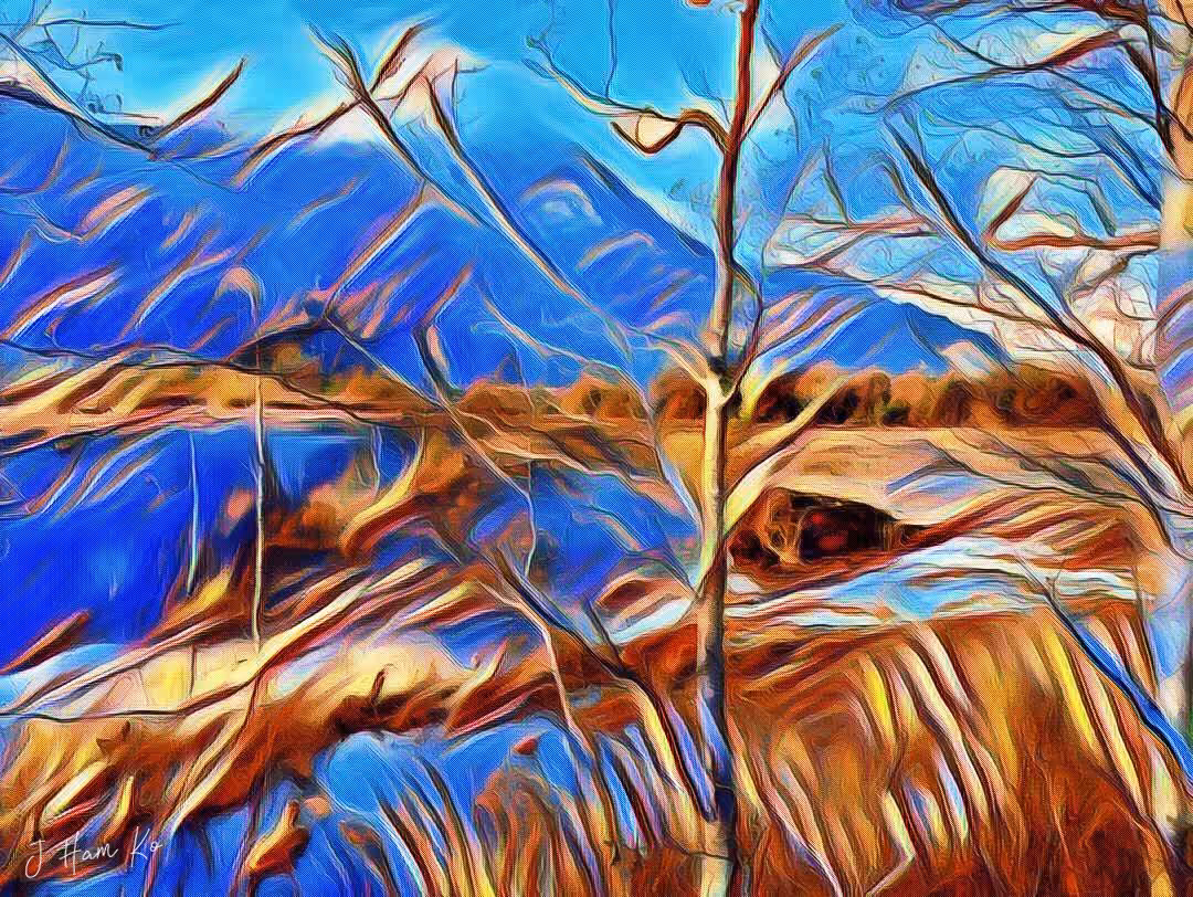 Winter Marsh Five