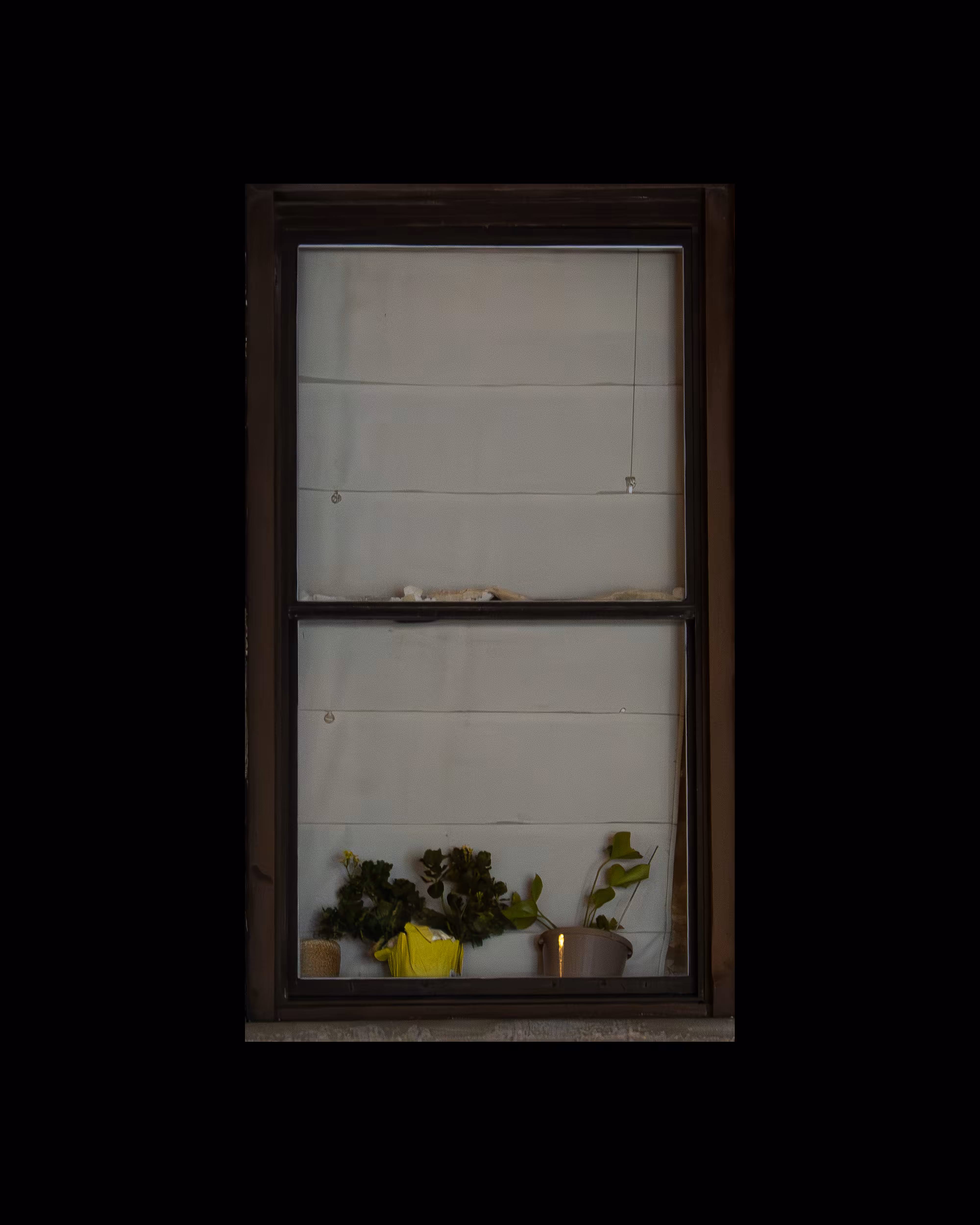 WINDOWS // NYC: WINDOW 526