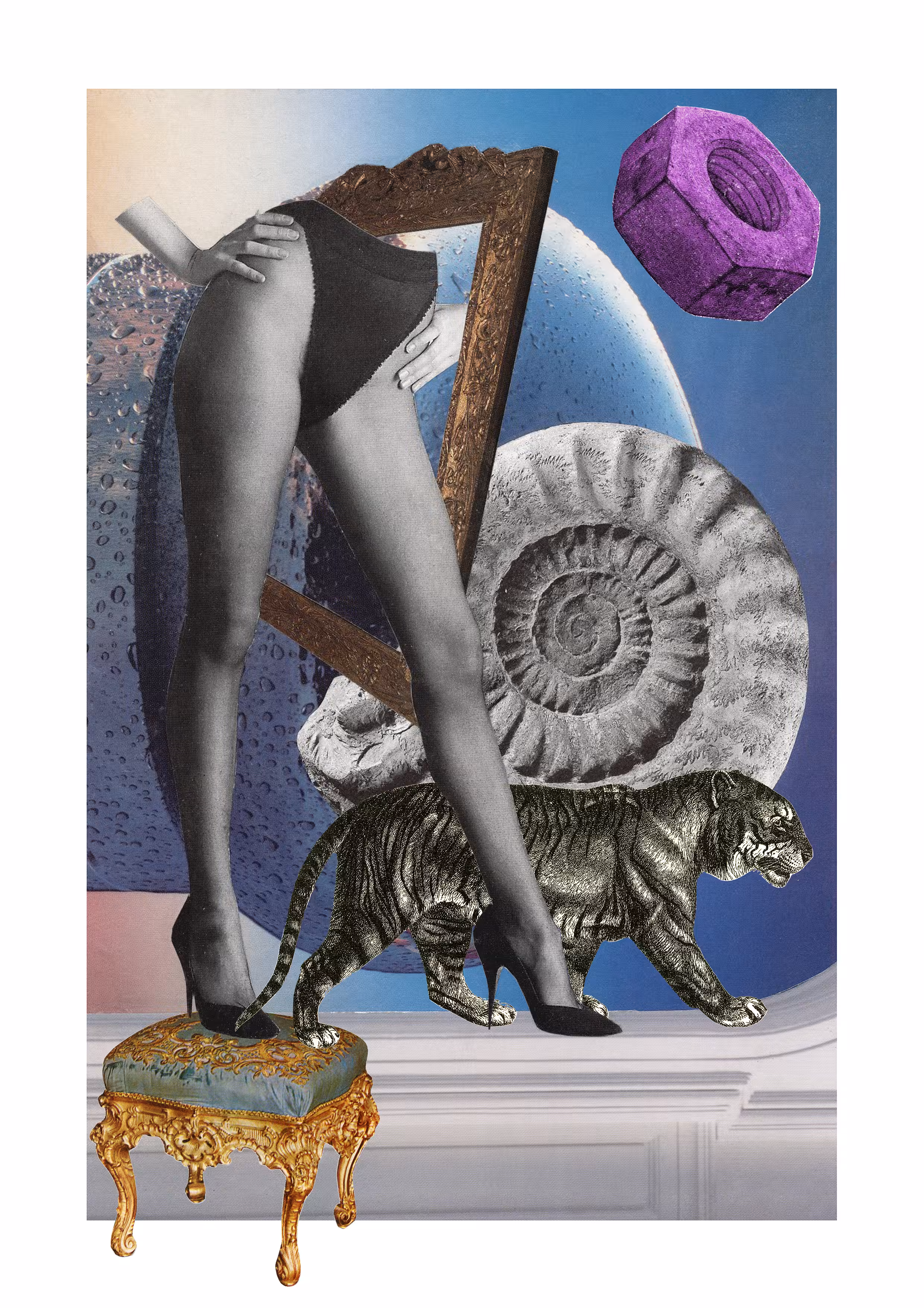 Sexy Ammonite
