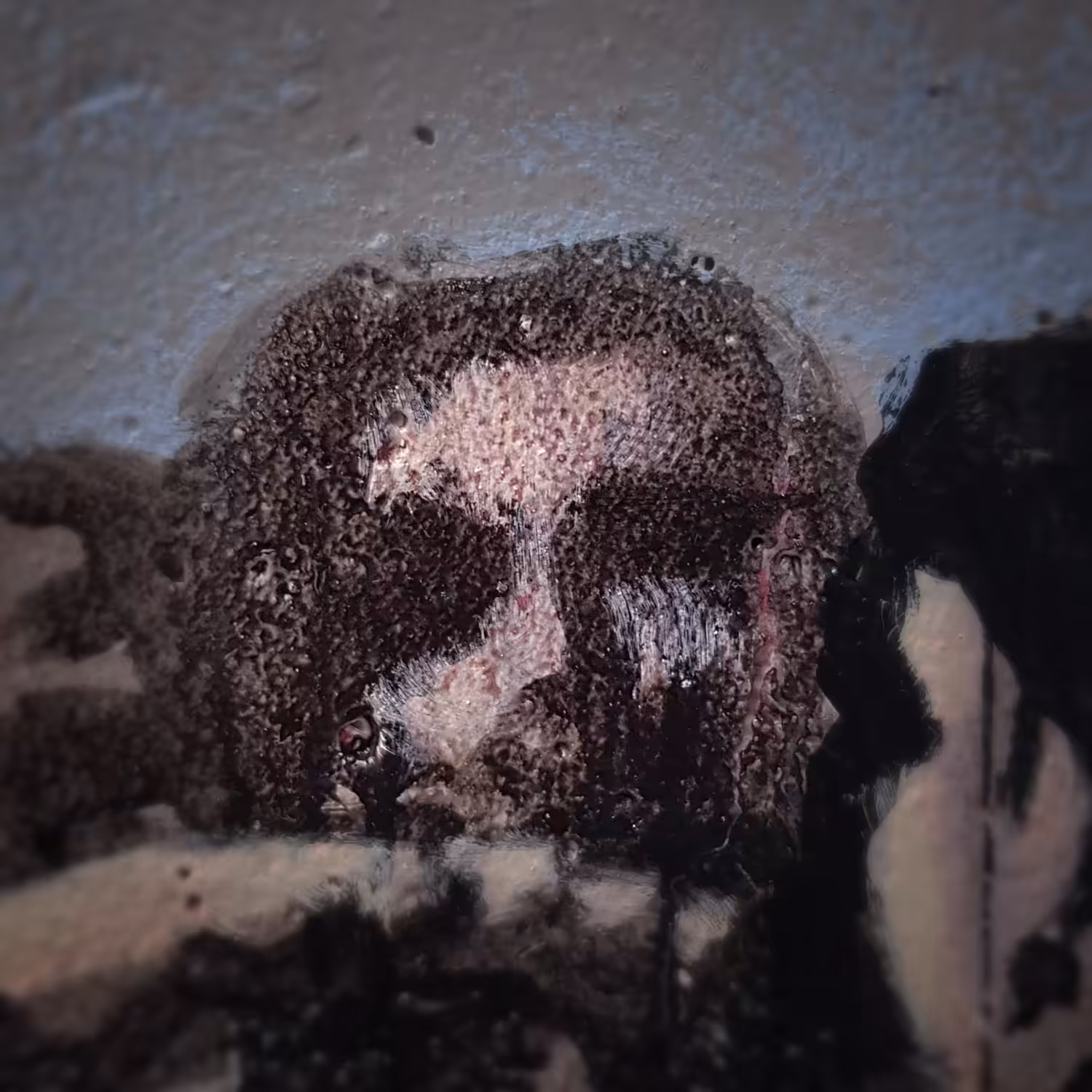 The Underground Sistine Chapel: 222 - The disappeared