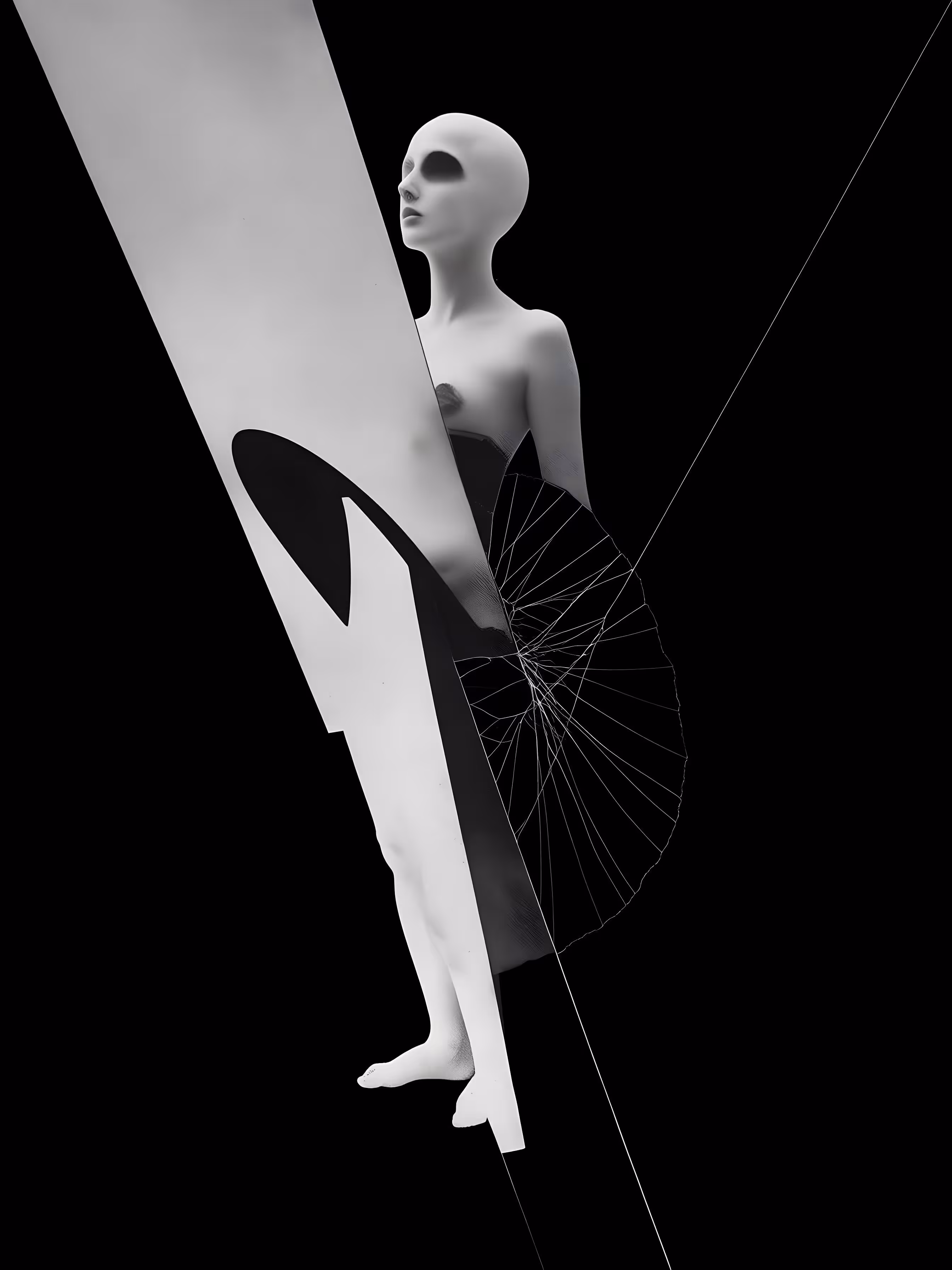Monochrome Balance V