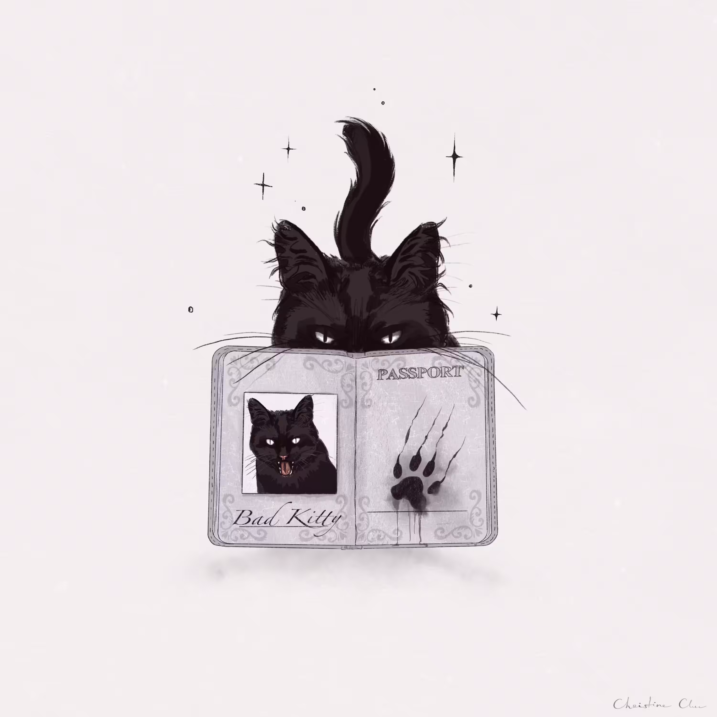 Passport