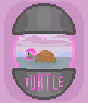 TURTLE 'PINK WIG'
