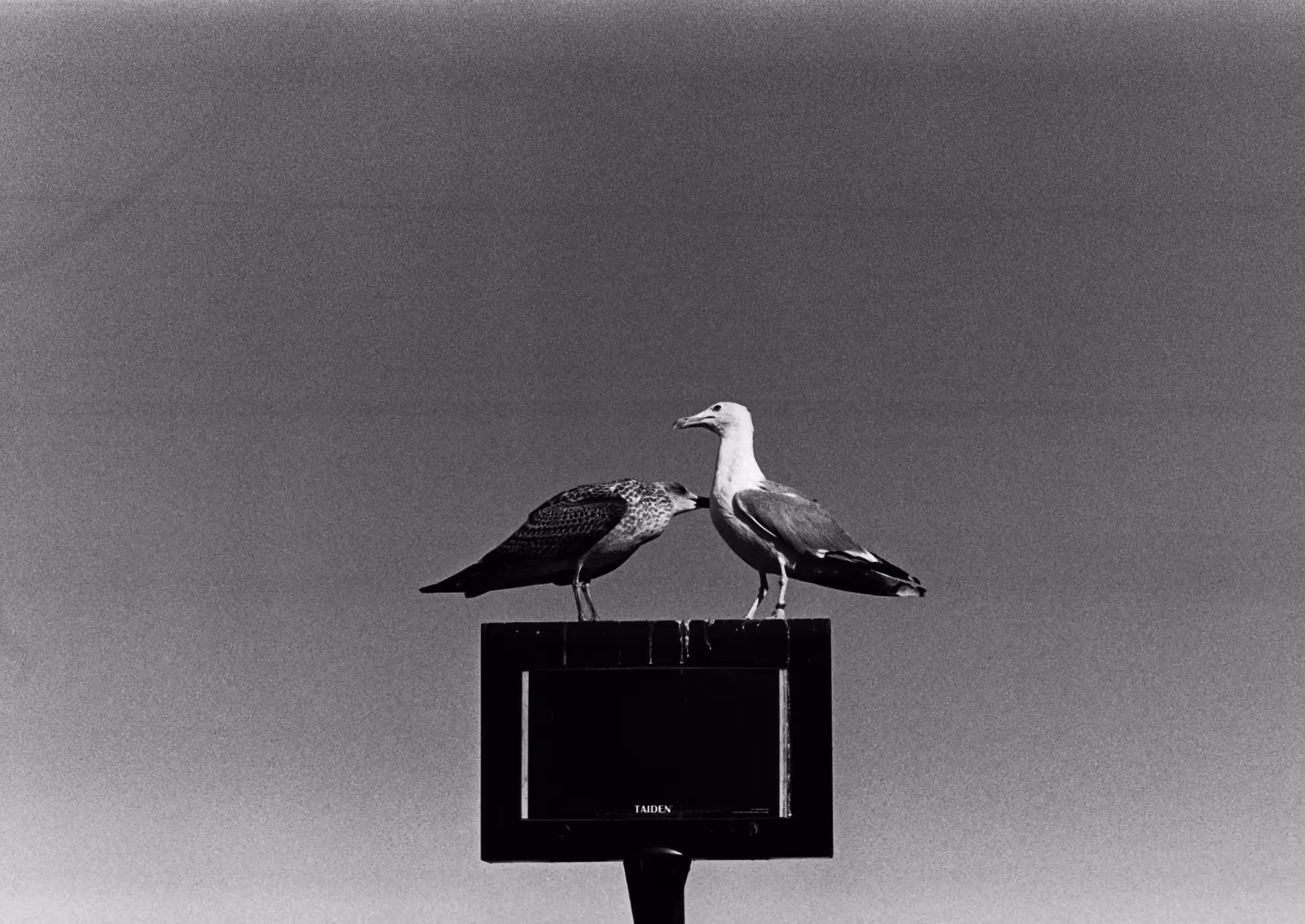 Conversation