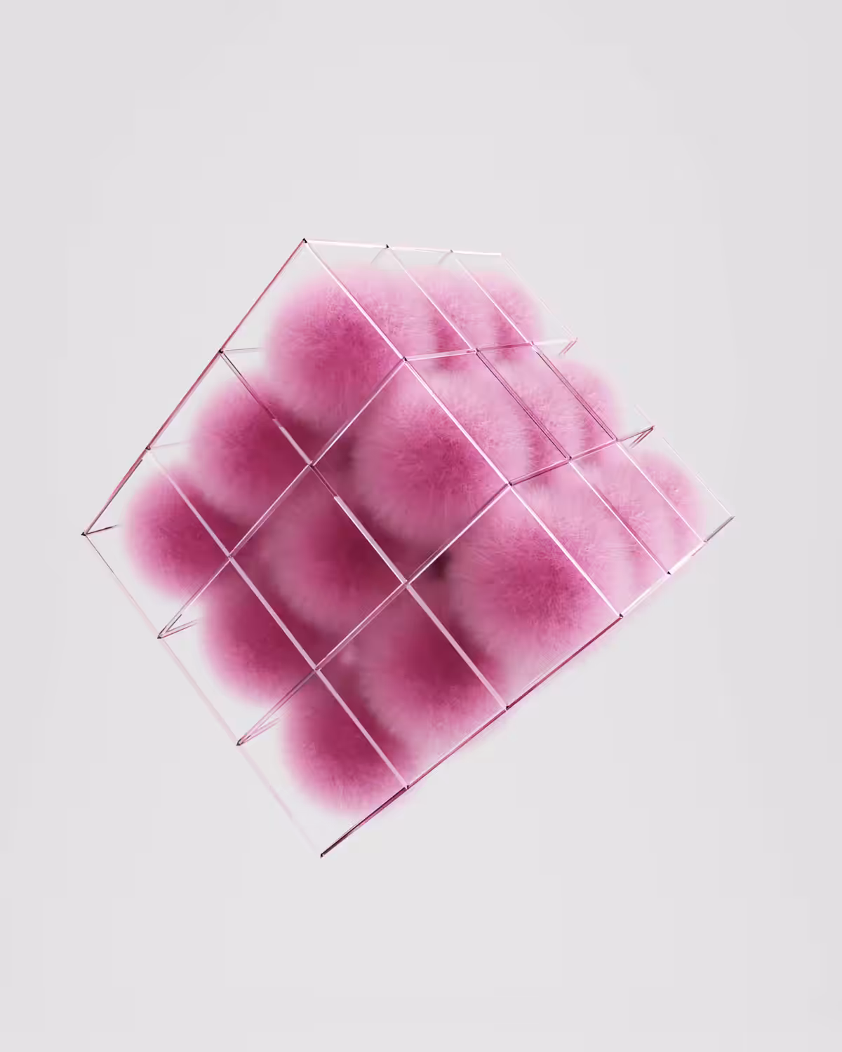 Pretty Pink Testicles