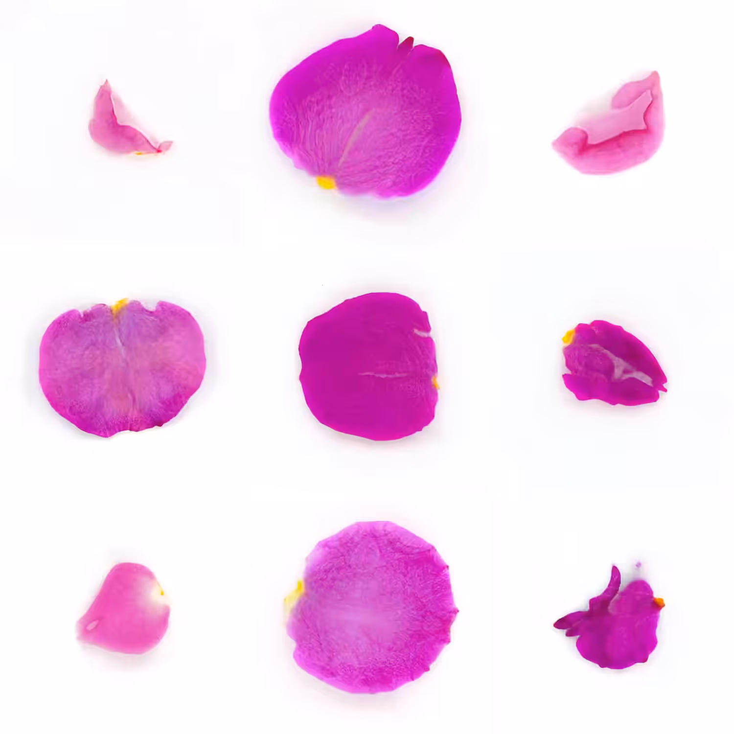 Infinite Petals 3x3#3112