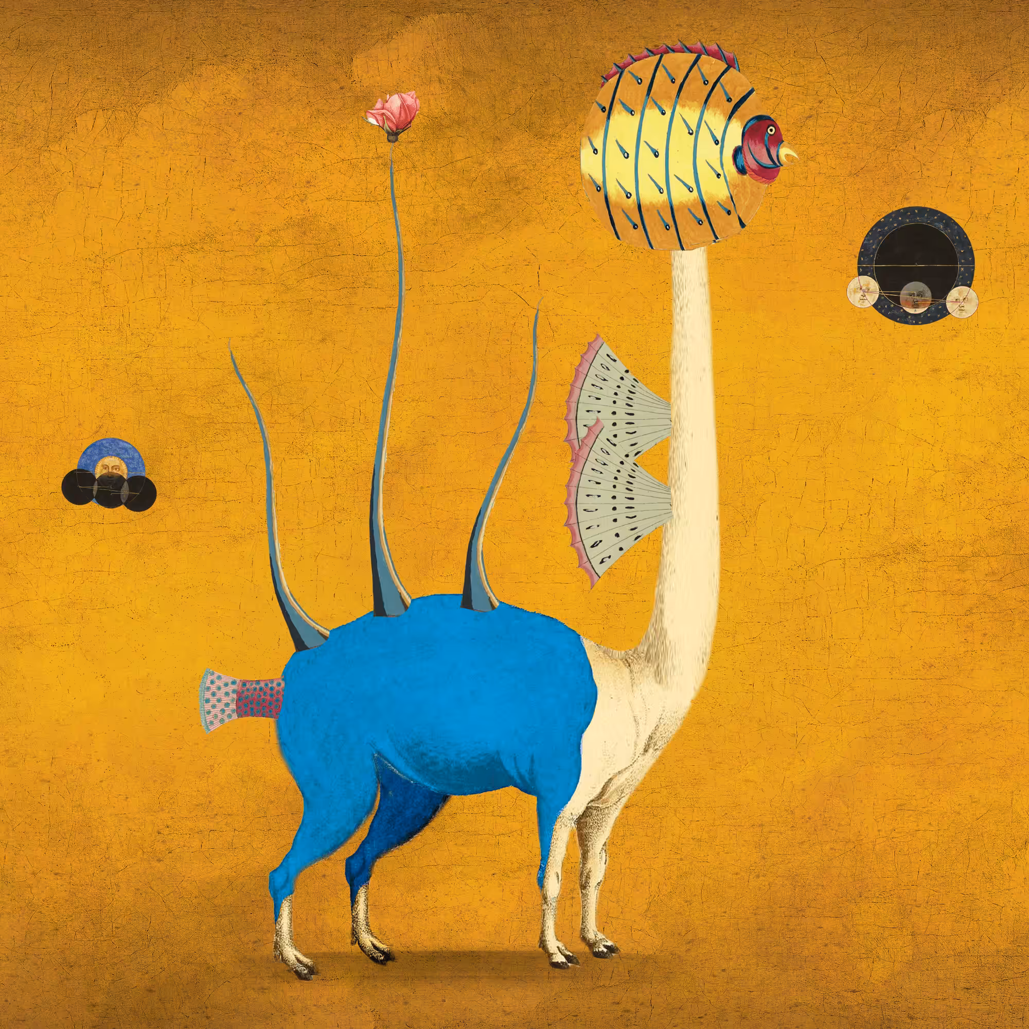 The Impossible Creatures: Impossible Creature #36
