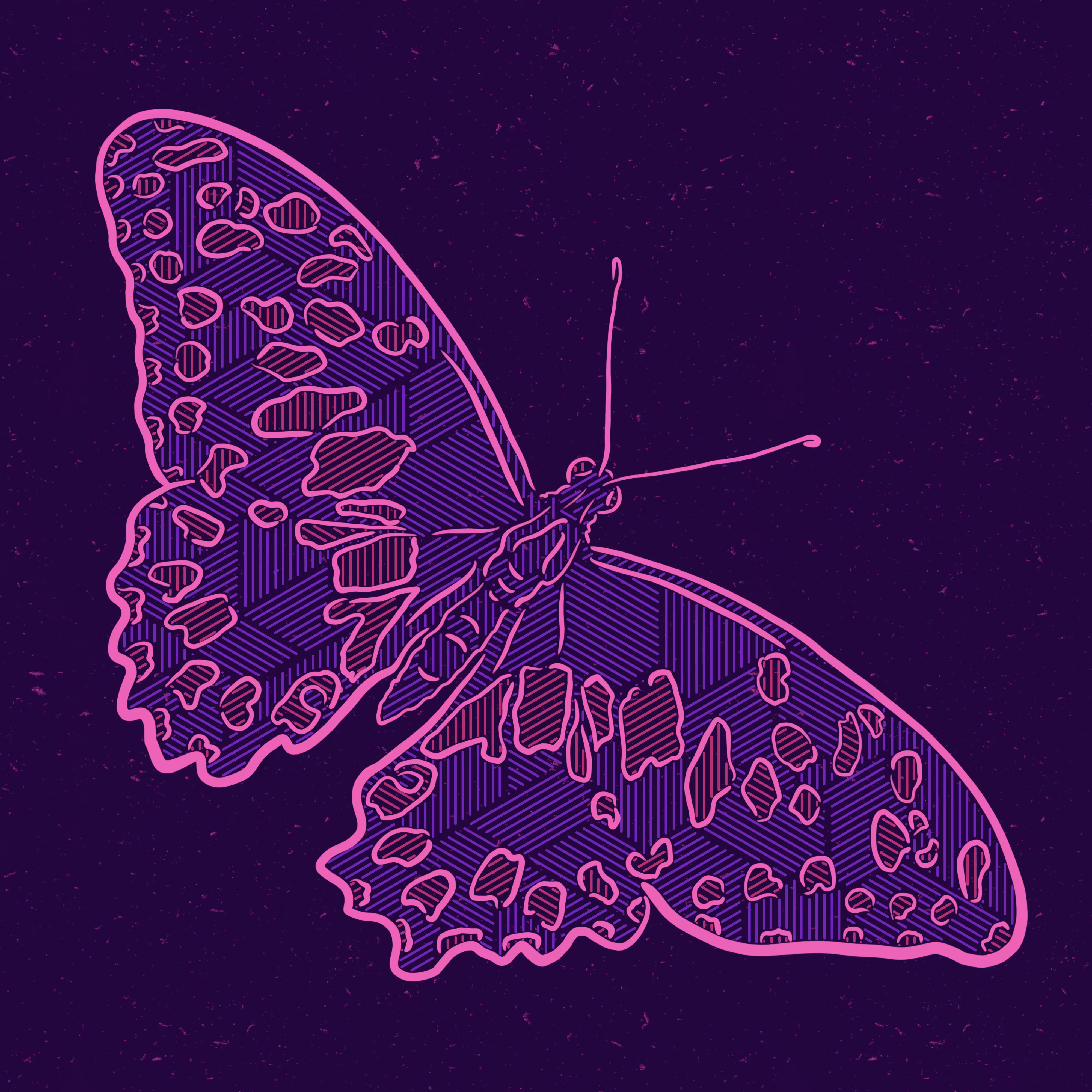Butterfly la#02