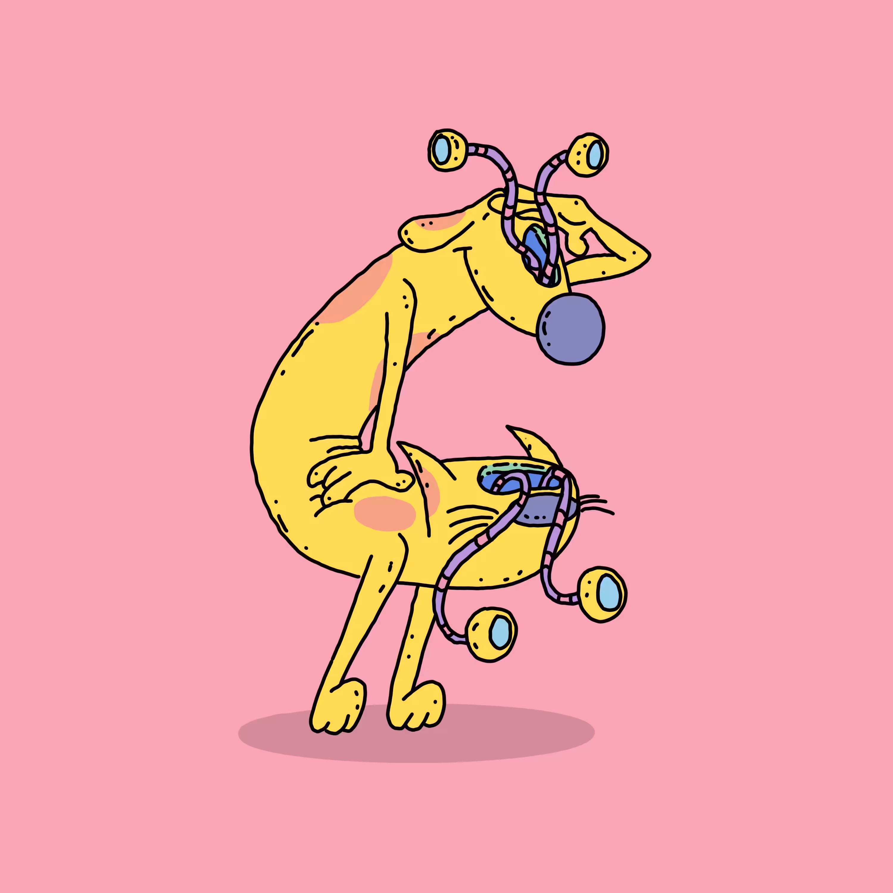 CatDog