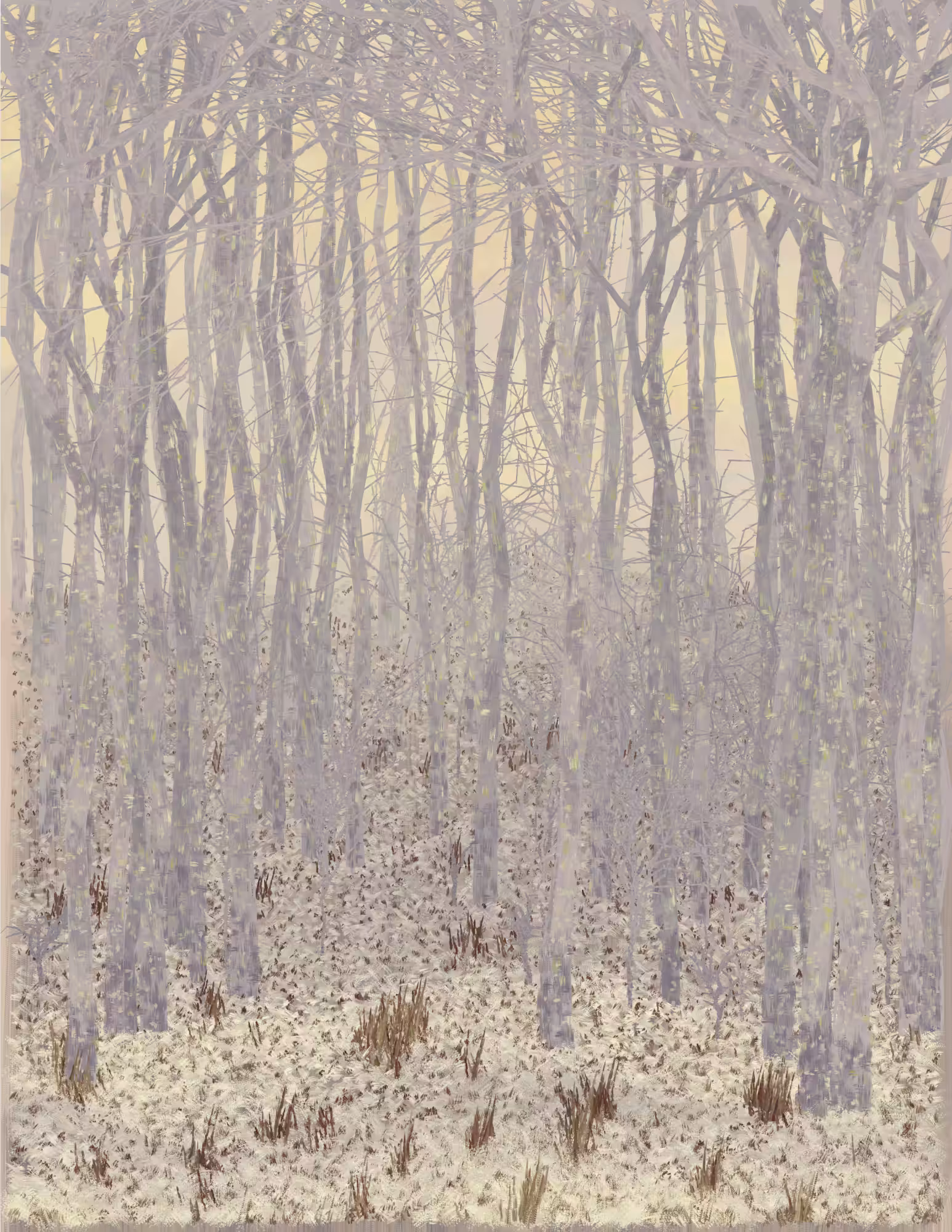 Deep Forest #18