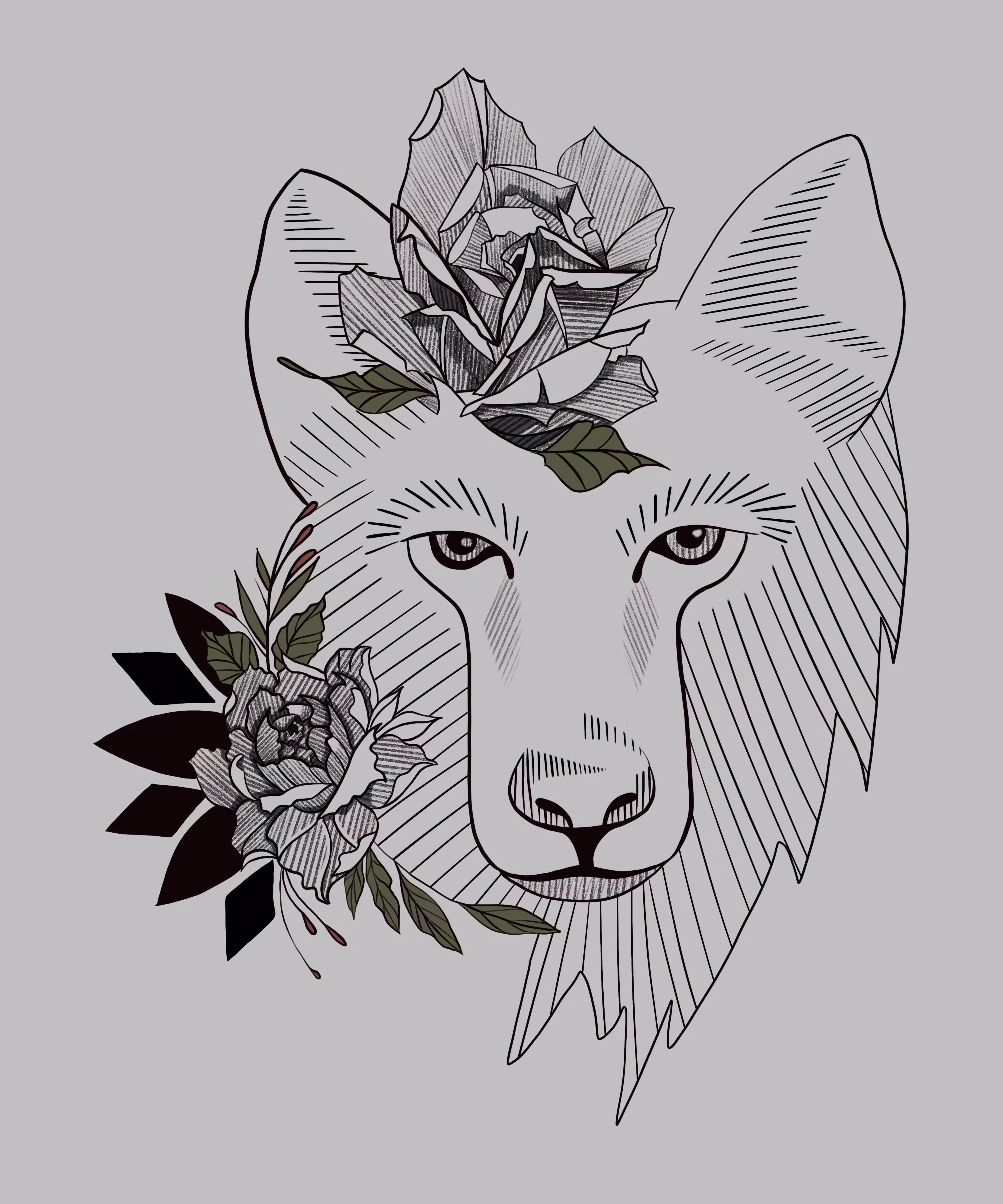 Wolf Sketch