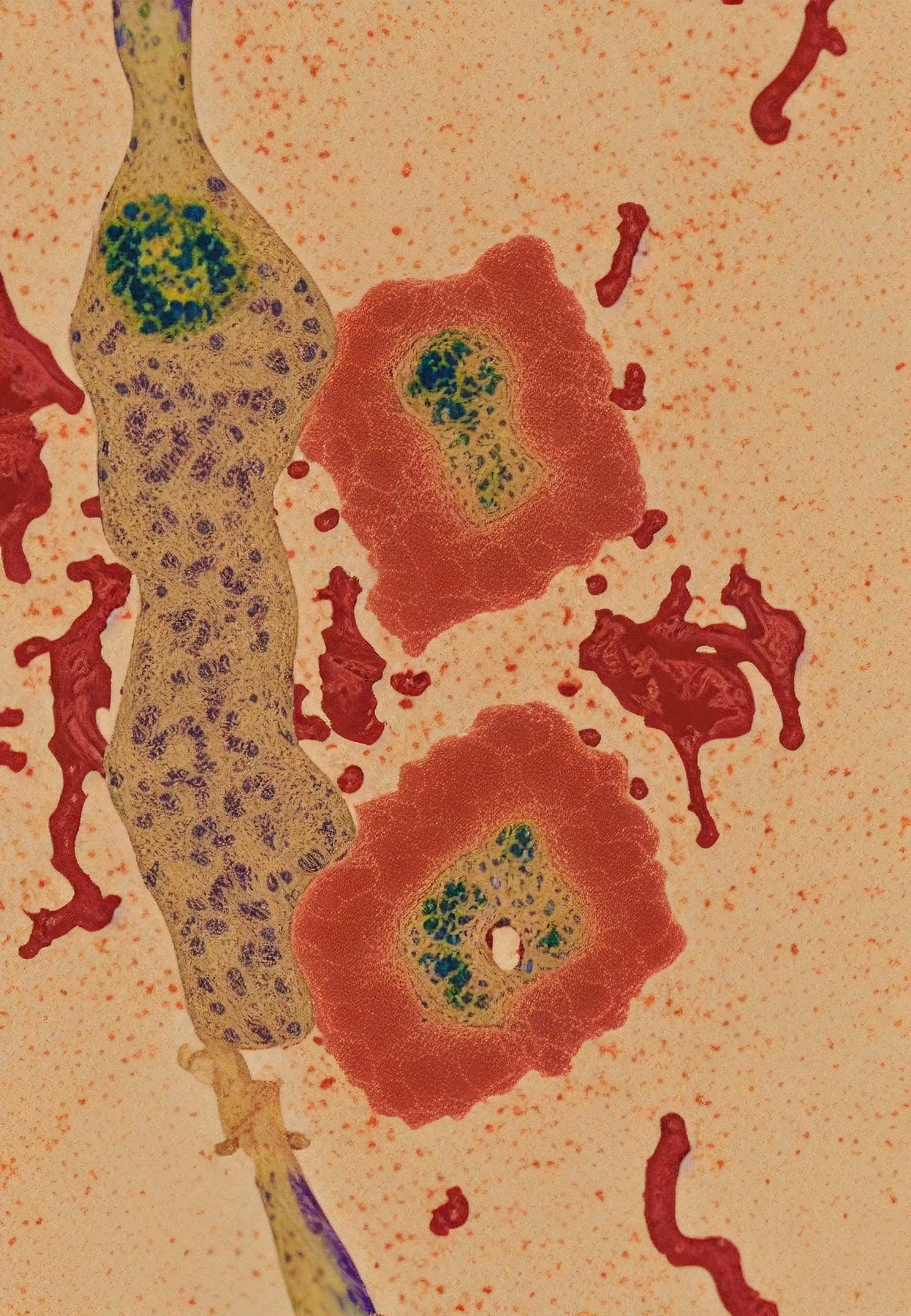 In Vivo, In Vitro, In Silico: Histologia In Silico #56