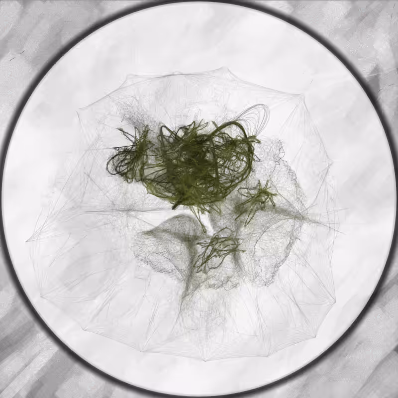 Herbarium Invaders #152